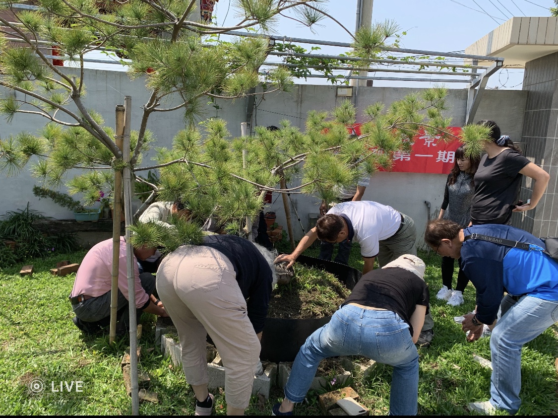 小品盆景創作班