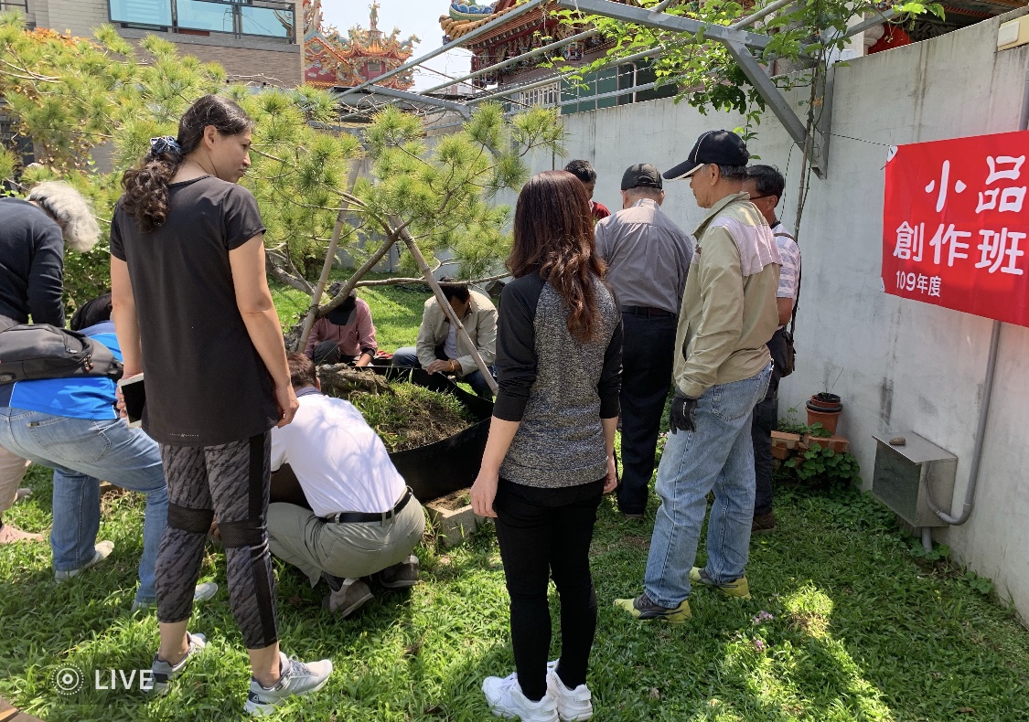 小品盆景創作班