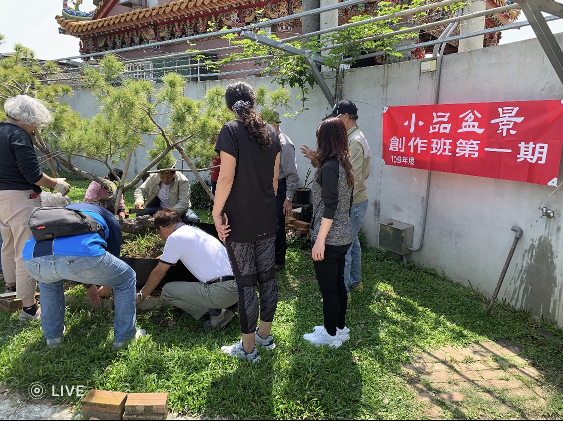 小品盆景創作班