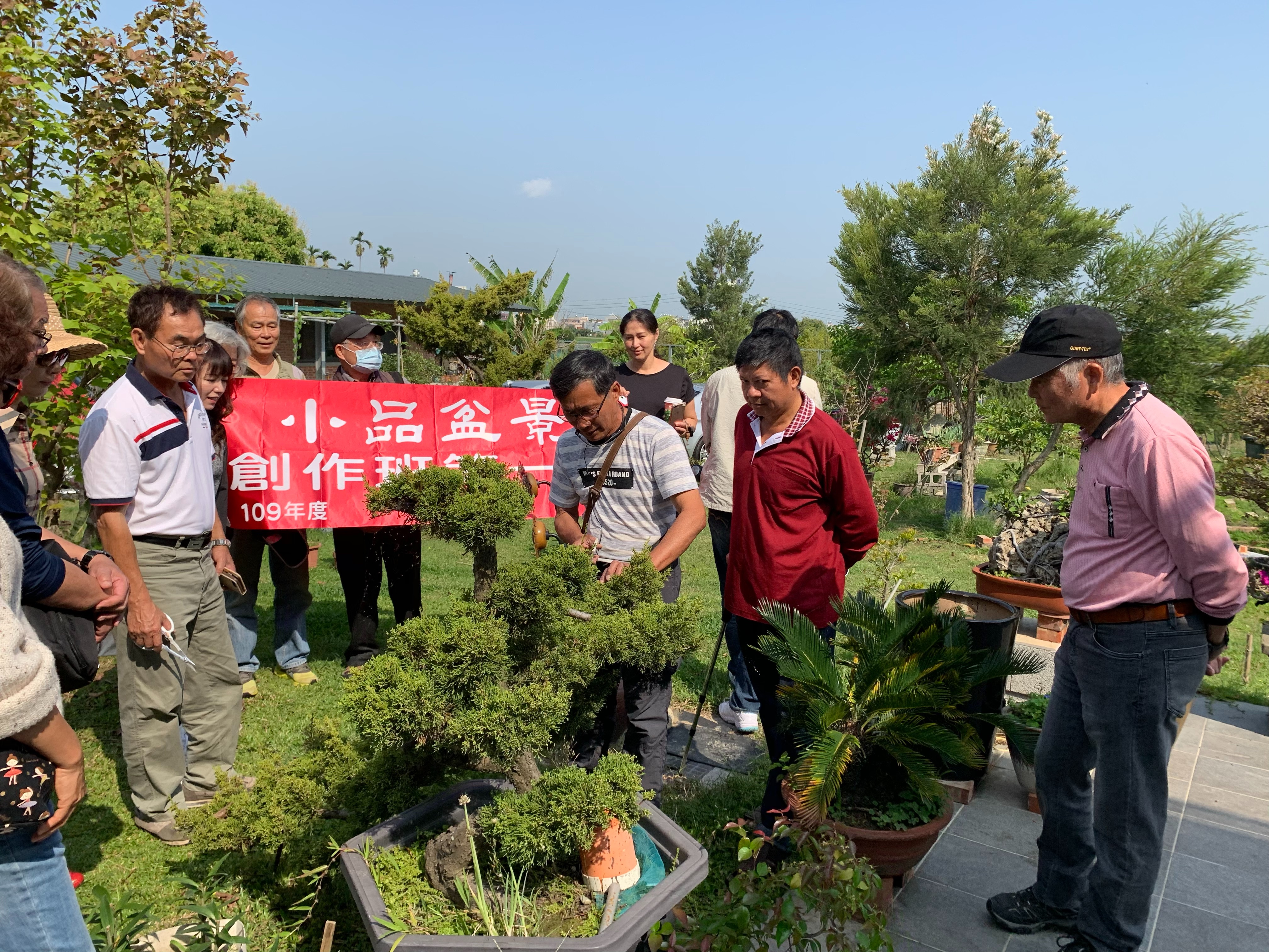 小品盆景創作班