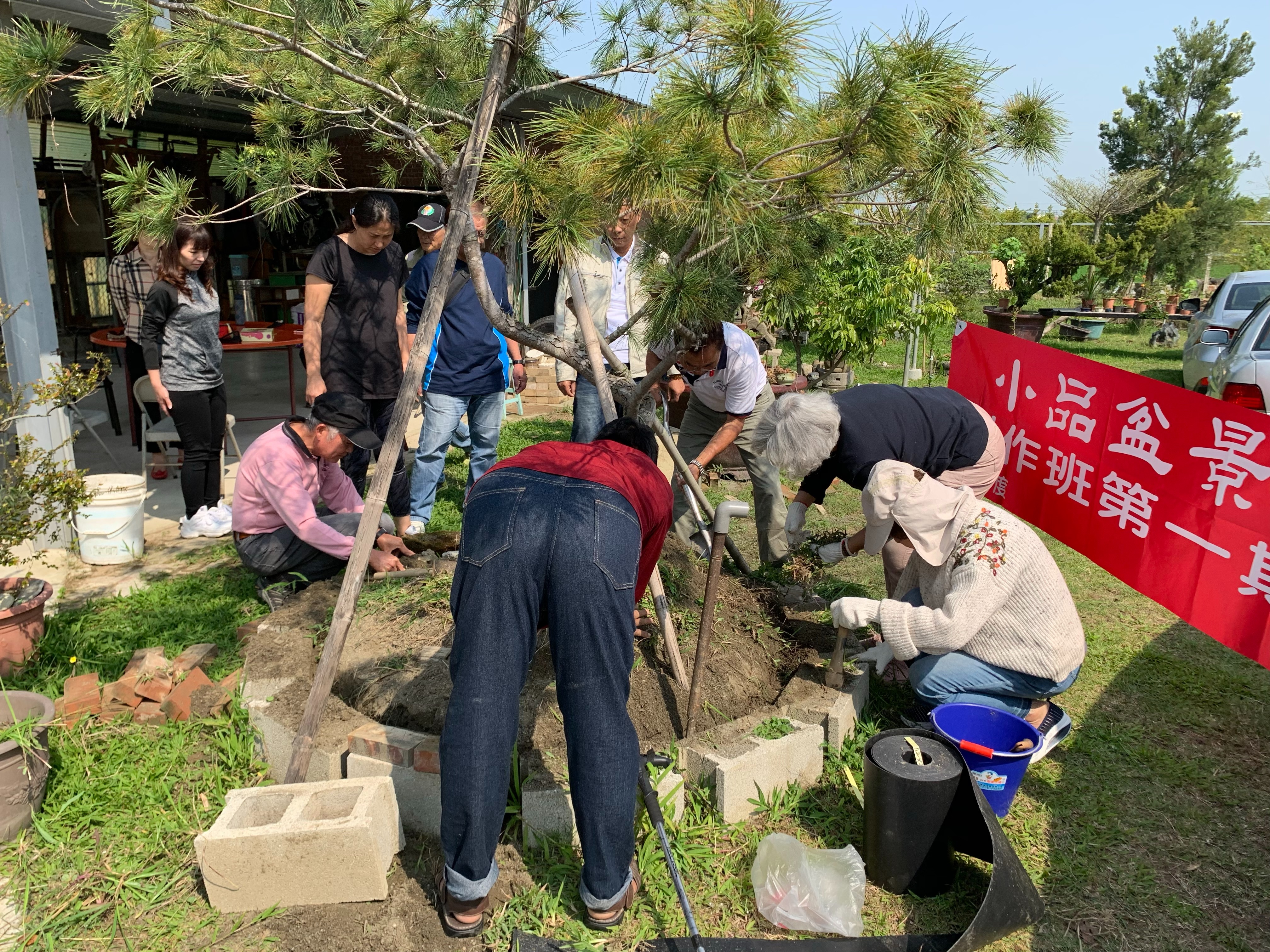 小品盆景創作班