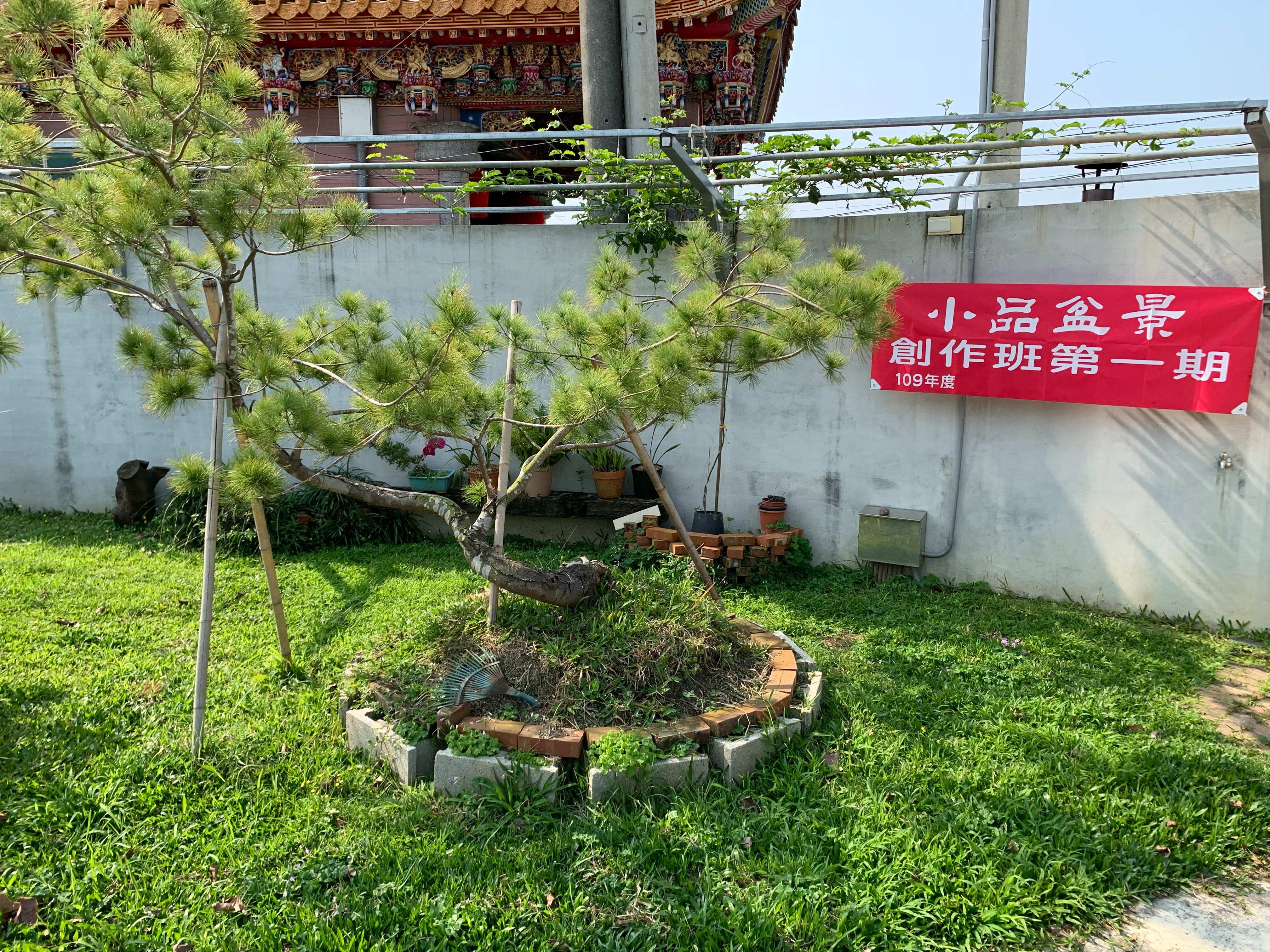 小品盆景創作班