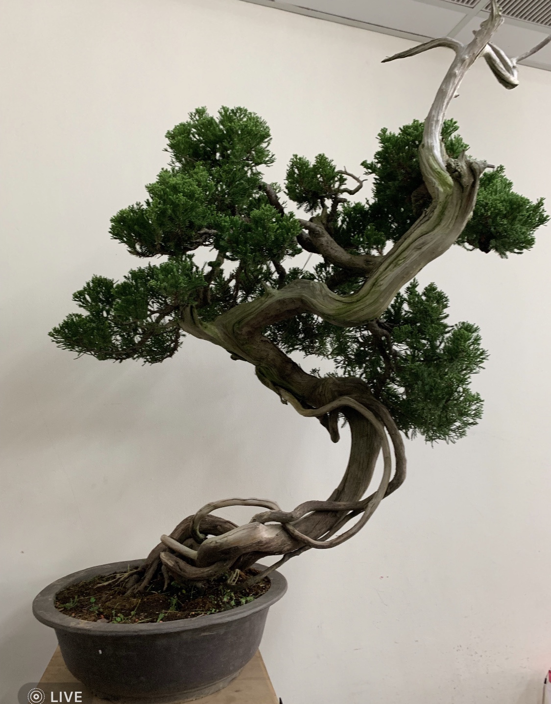 園藝實務作物班