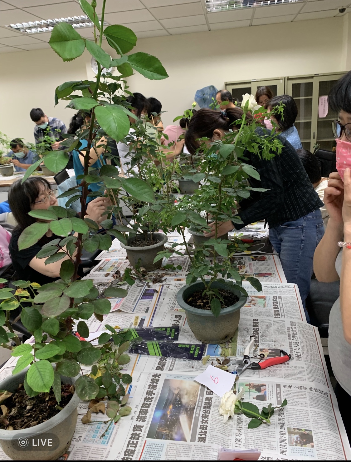 園藝實務作物班