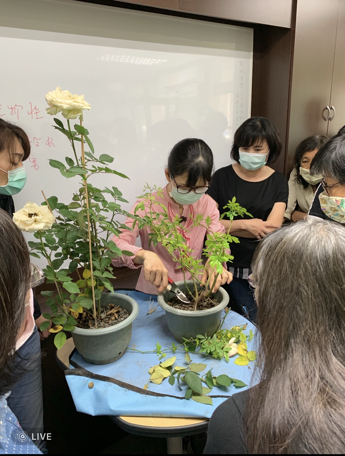 園藝實務作物班