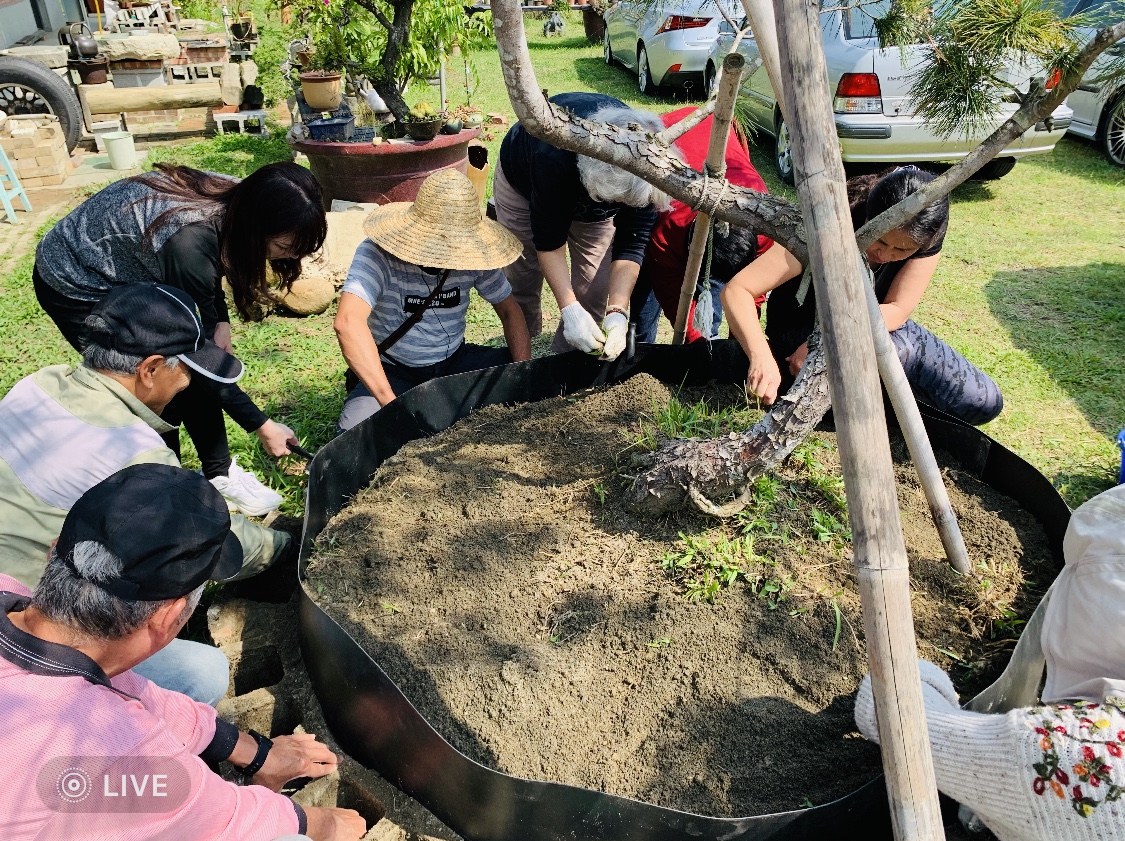 園藝實務作物班