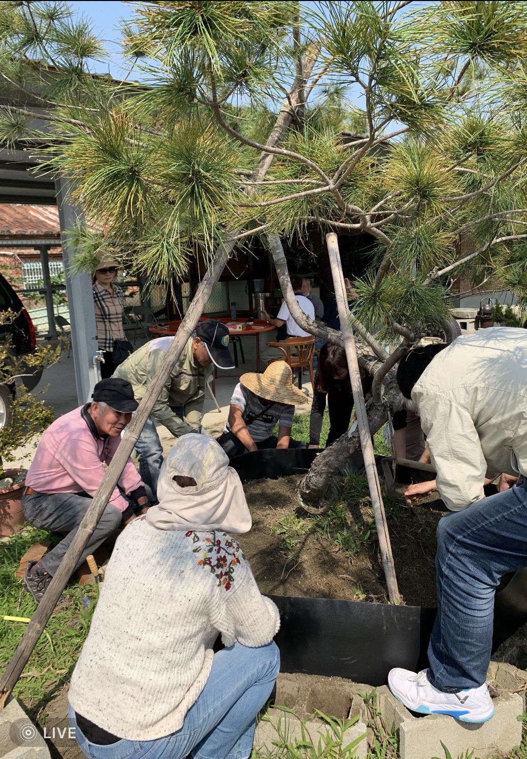 園藝實務作物班