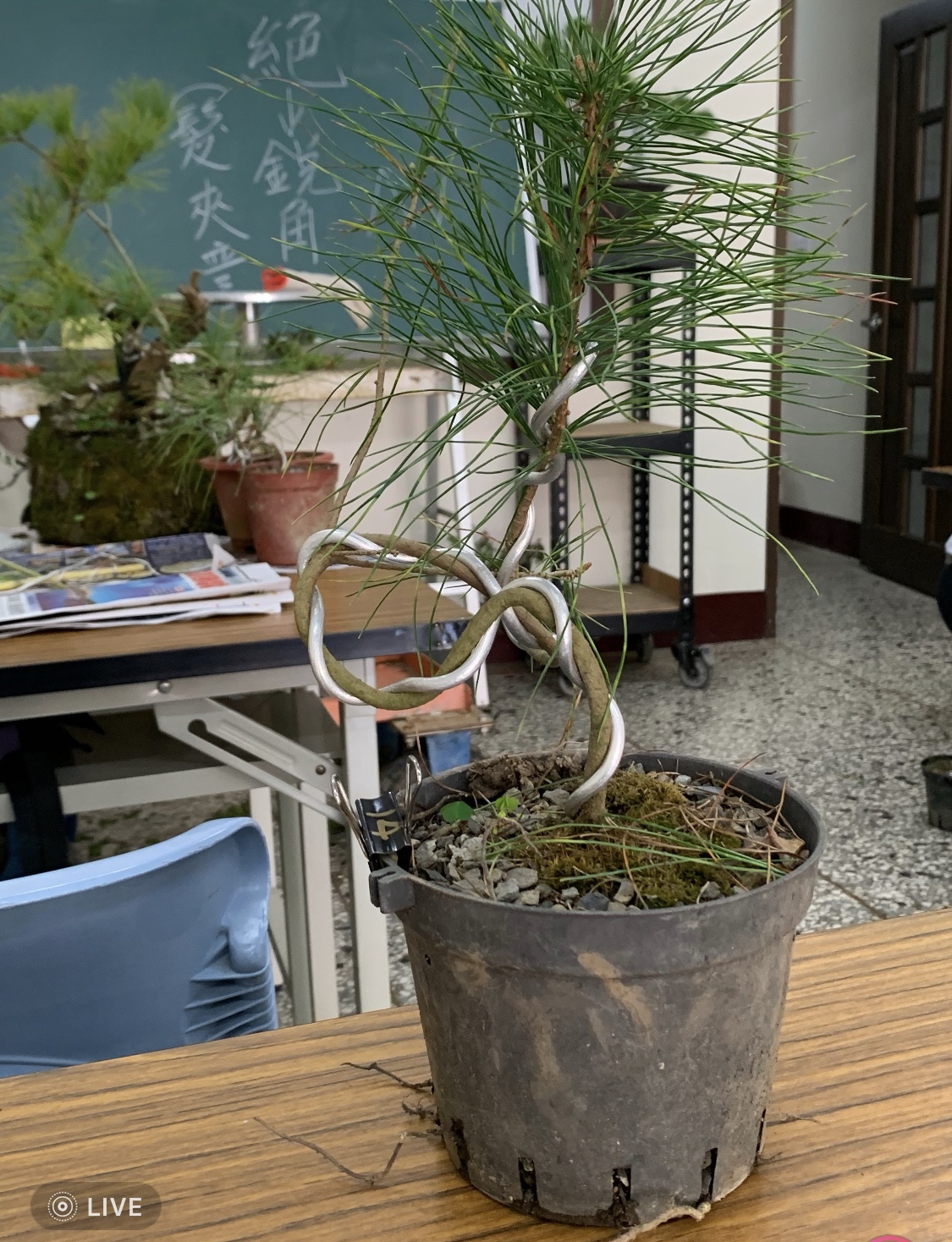 園藝實務作物班