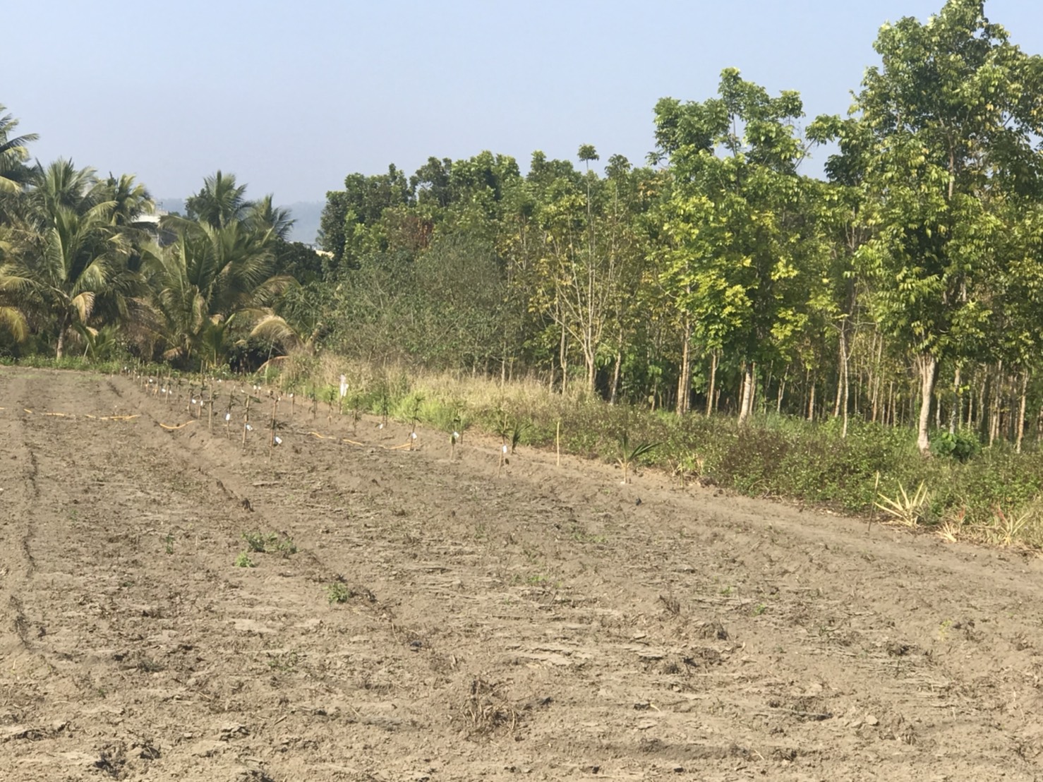 有機農業精緻班