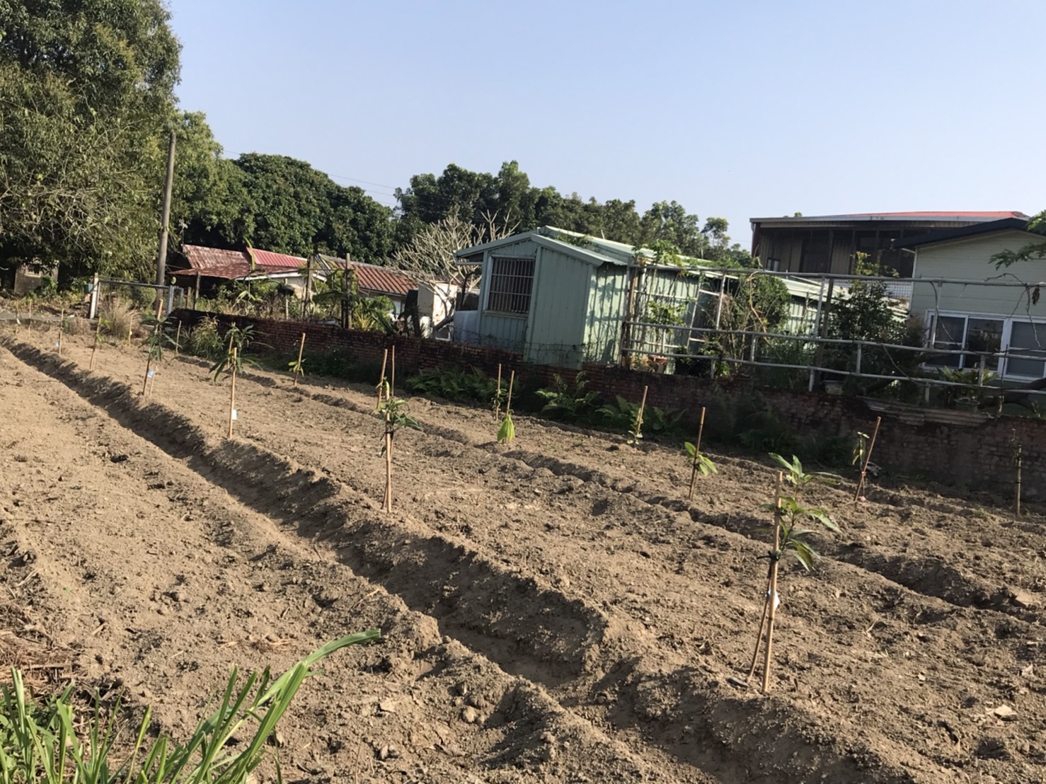 有機農業精緻班