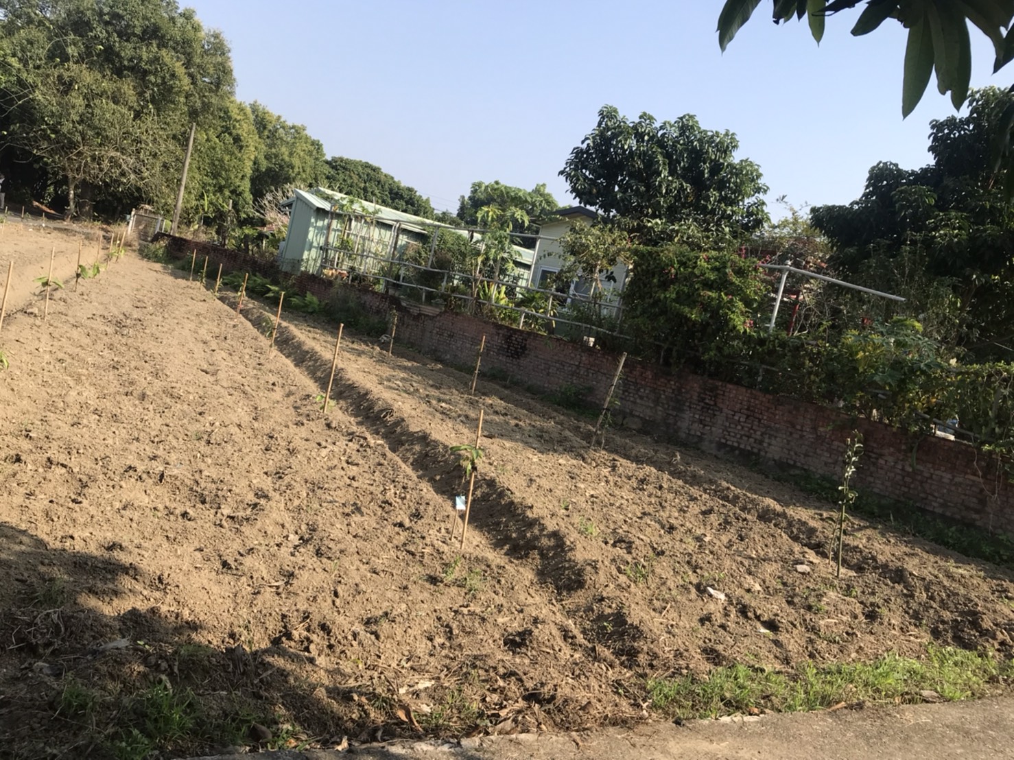 有機農業精緻班