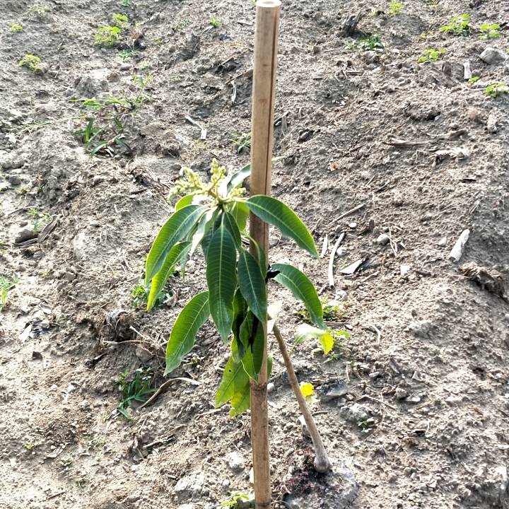 有機農業精緻班