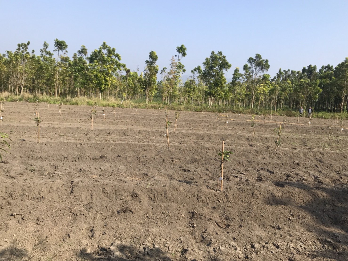 有機農業精緻班