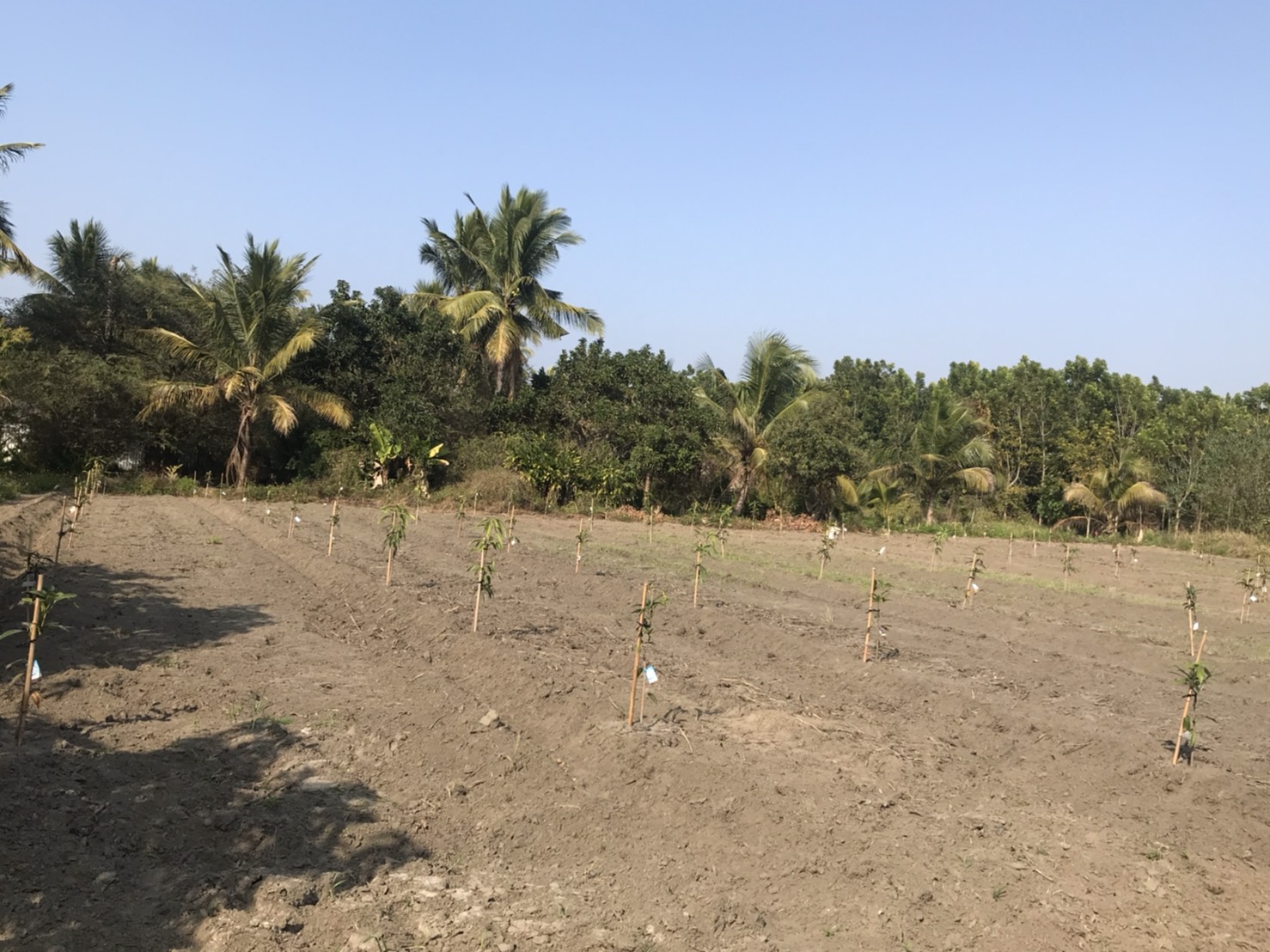 有機農業精緻班