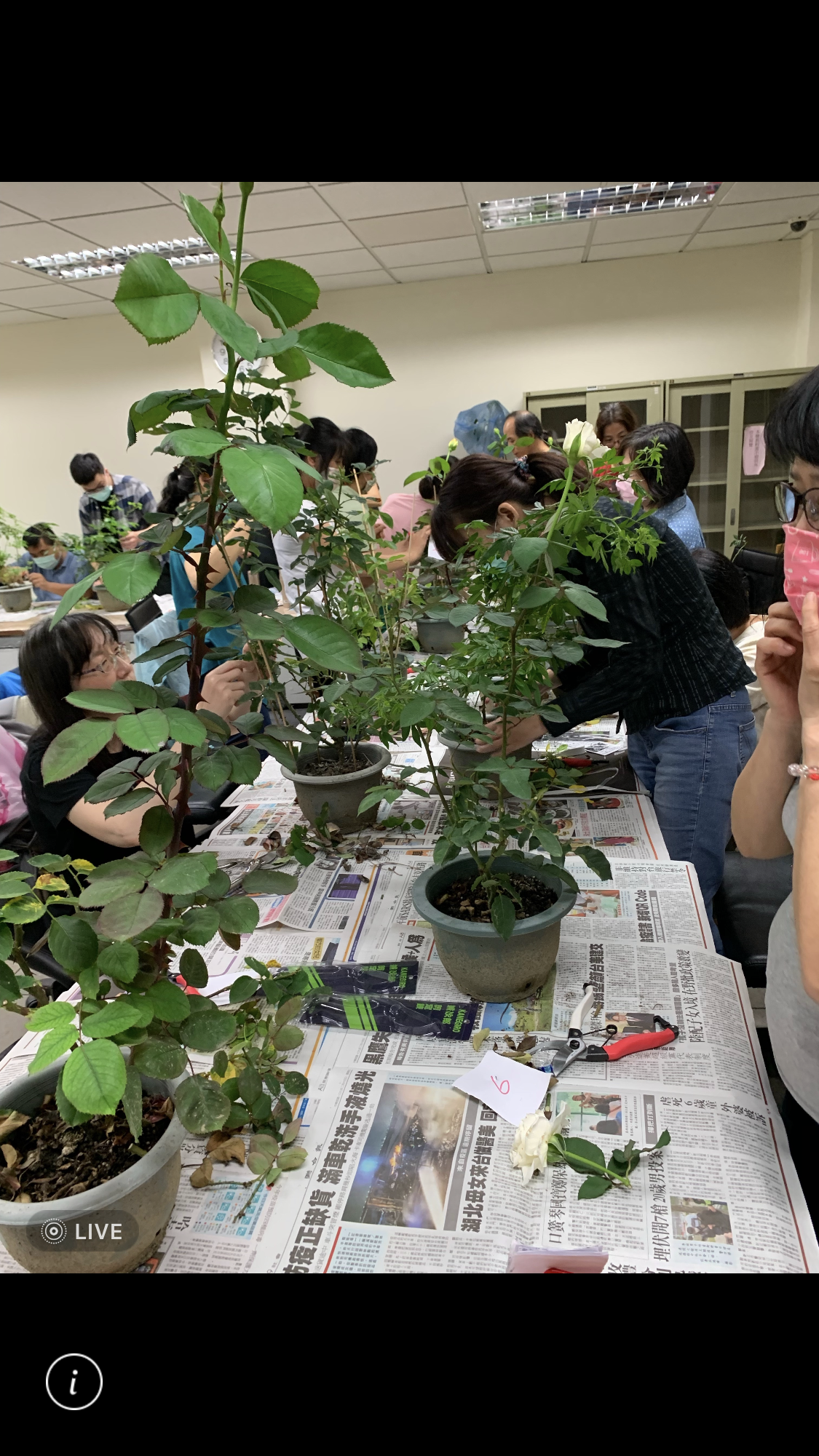 園藝技術培訓班