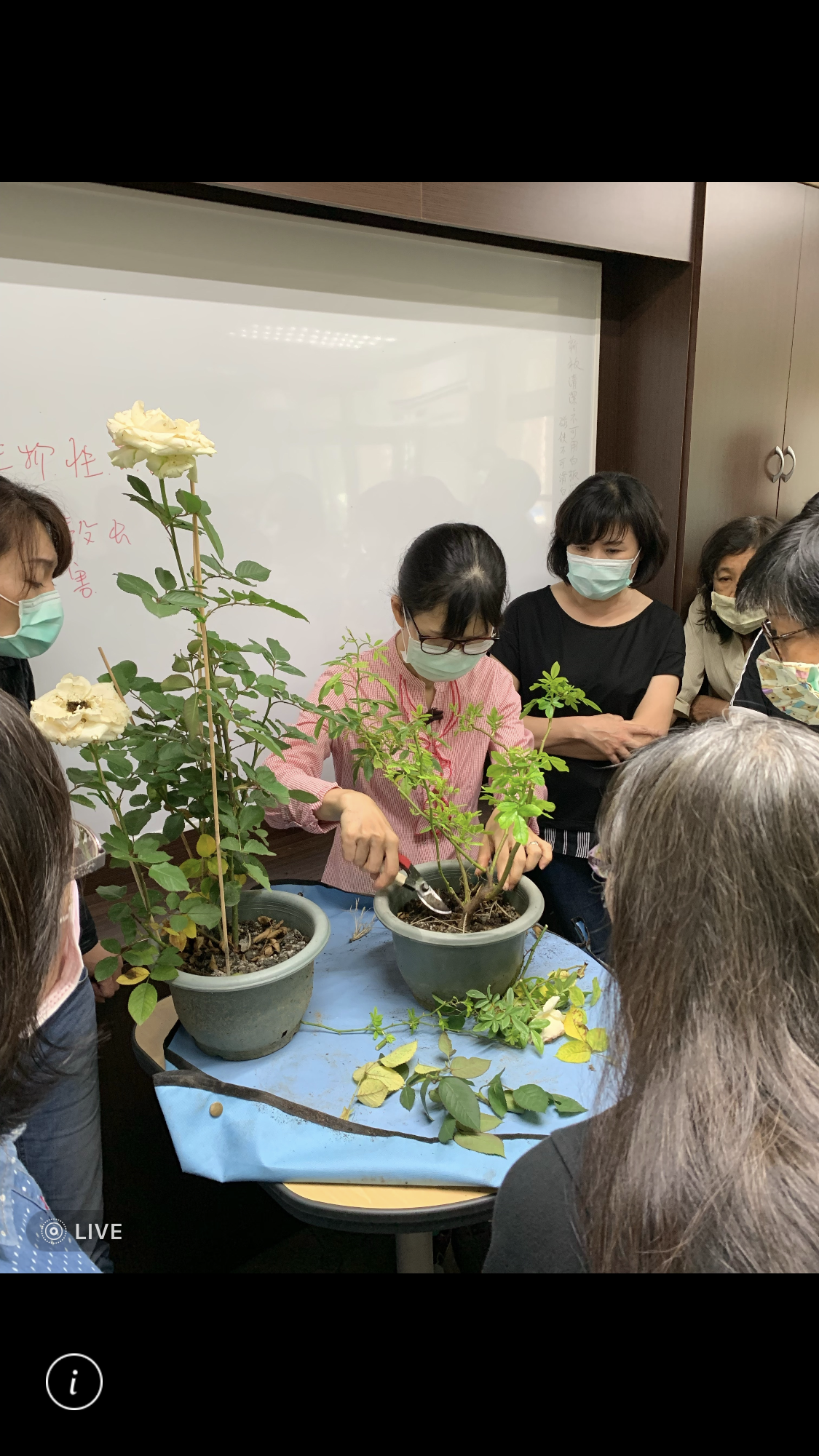 園藝技術培訓班