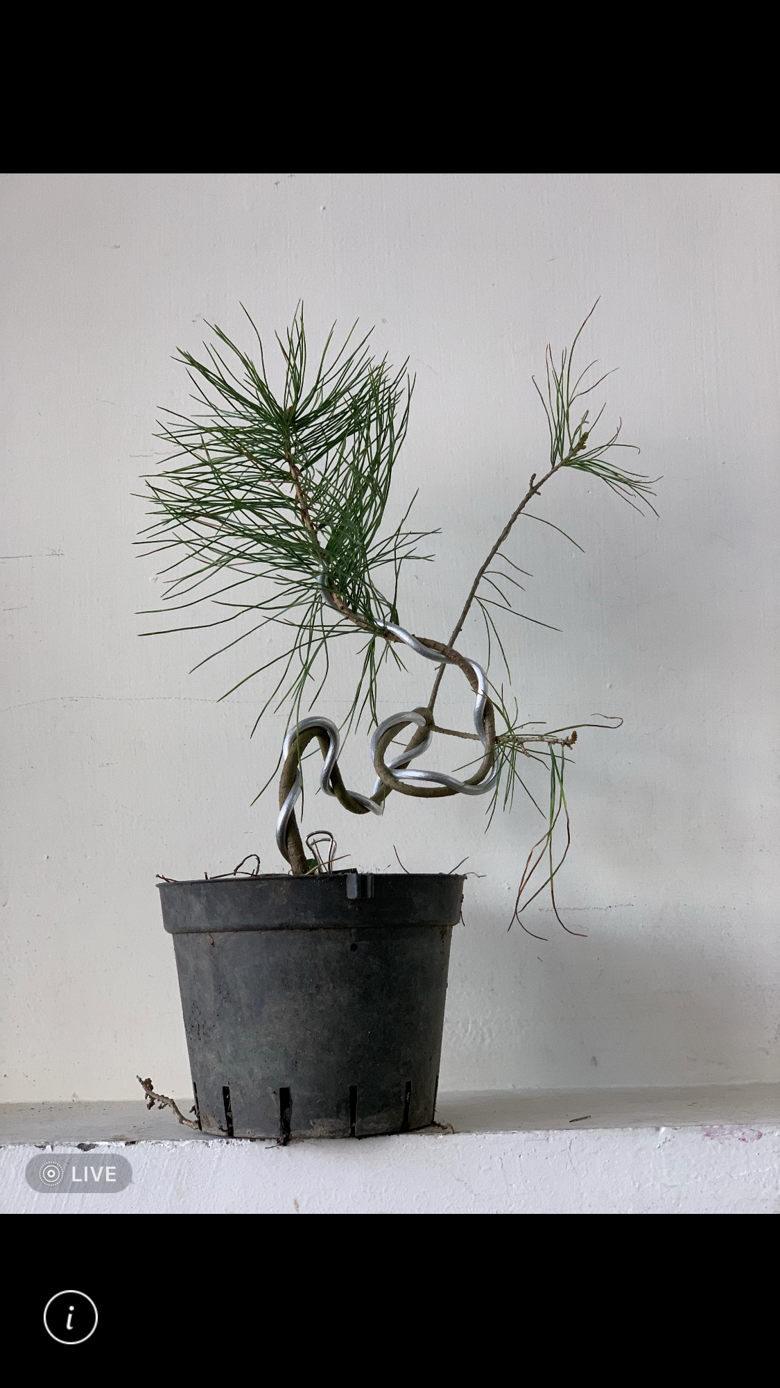 園藝技術培訓班