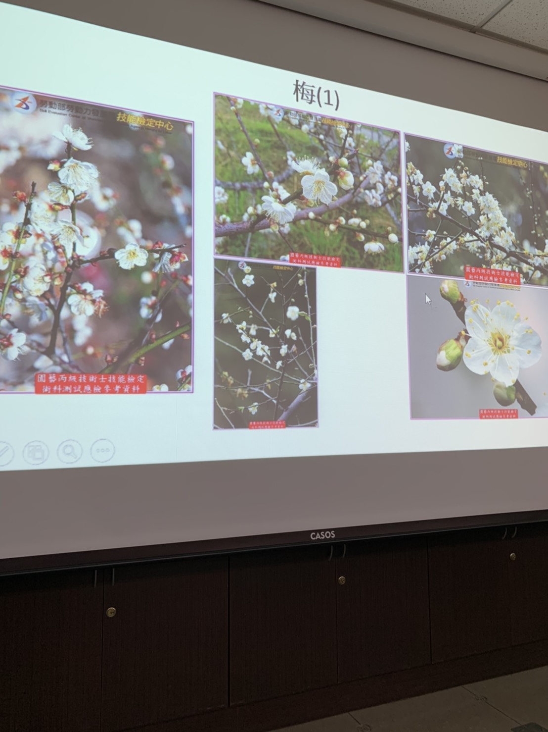 園藝技術果樹類術科資訊