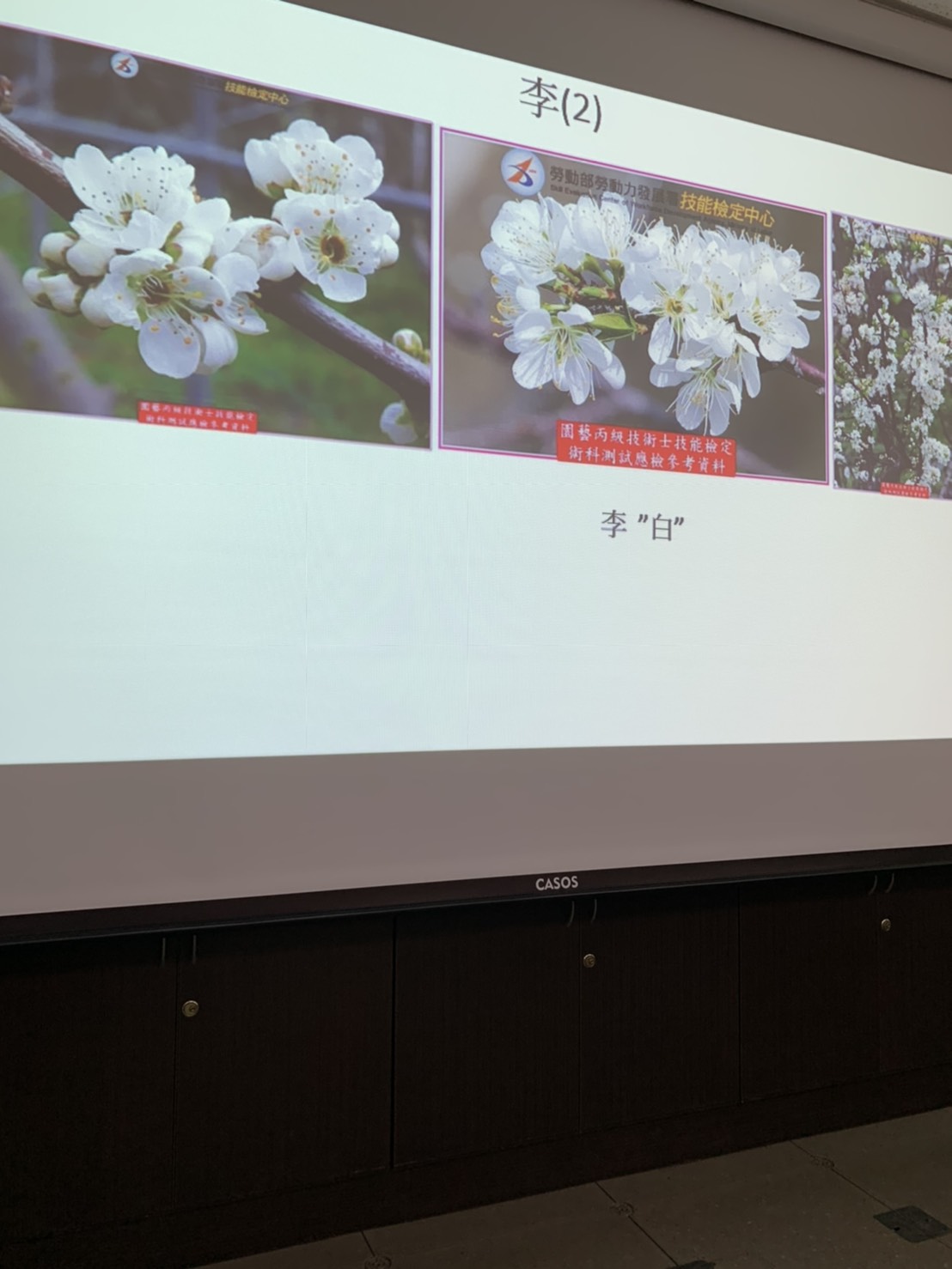 園藝技術果樹類術科資訊