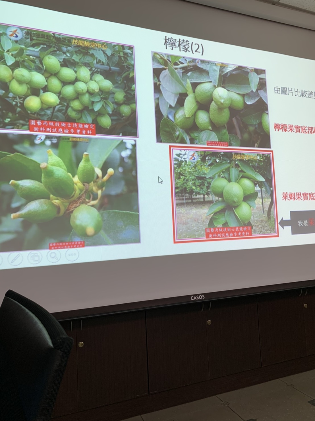 園藝技術果樹類術科資訊