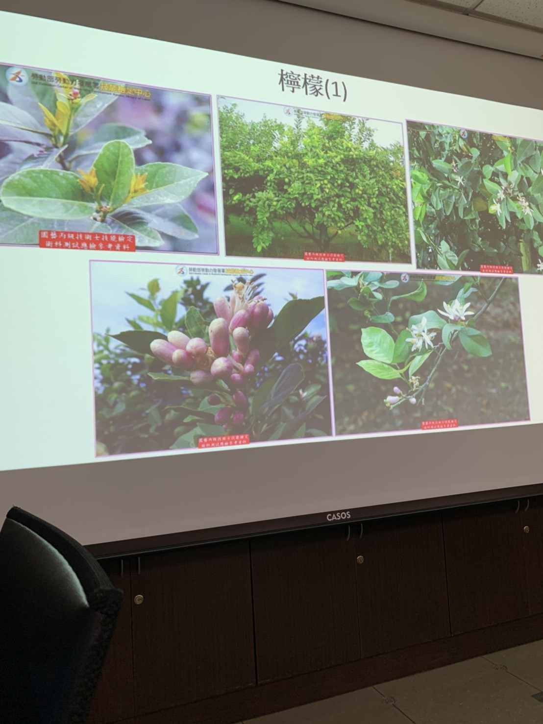 園藝技術果樹類術科資訊