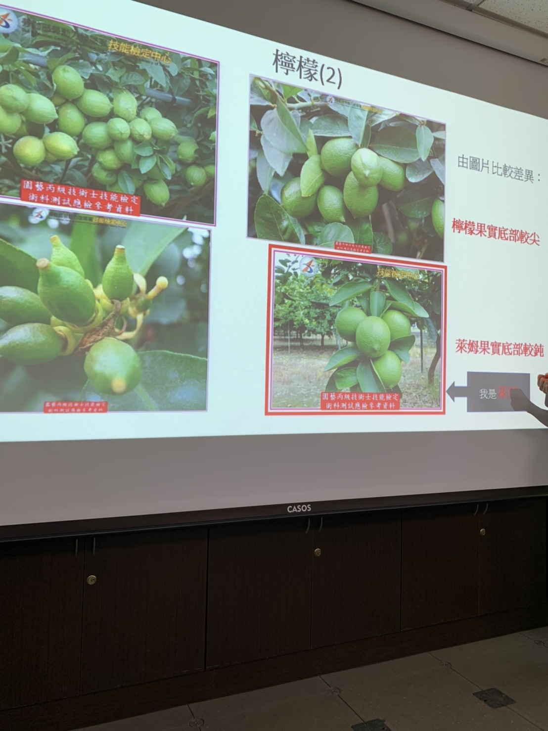 園藝技術果樹類術科資訊