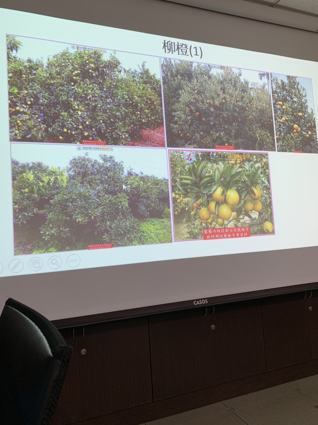 園藝技術果樹類術科資訊