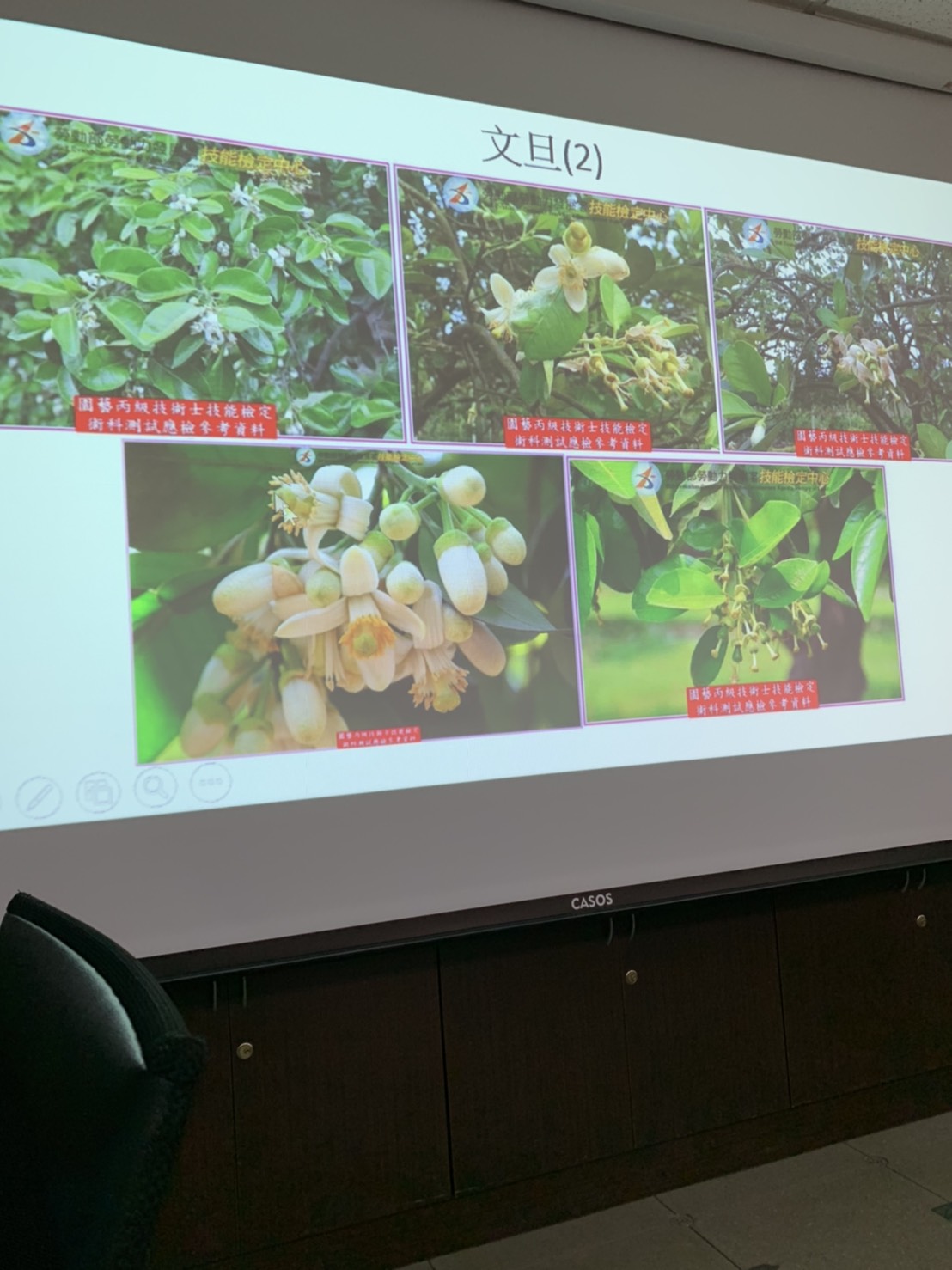 園藝技術果樹類術科資訊