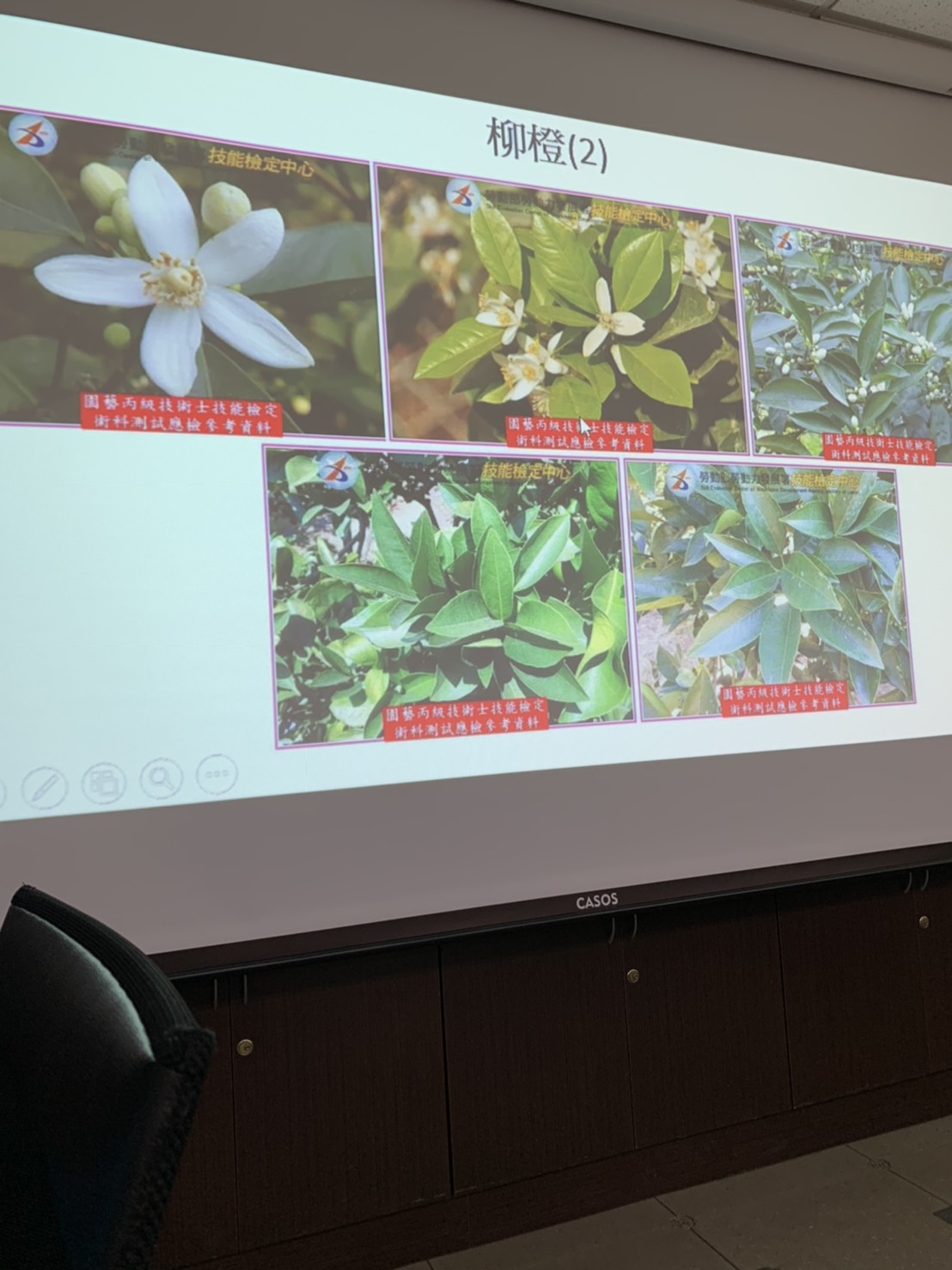 園藝技術果樹類術科資訊