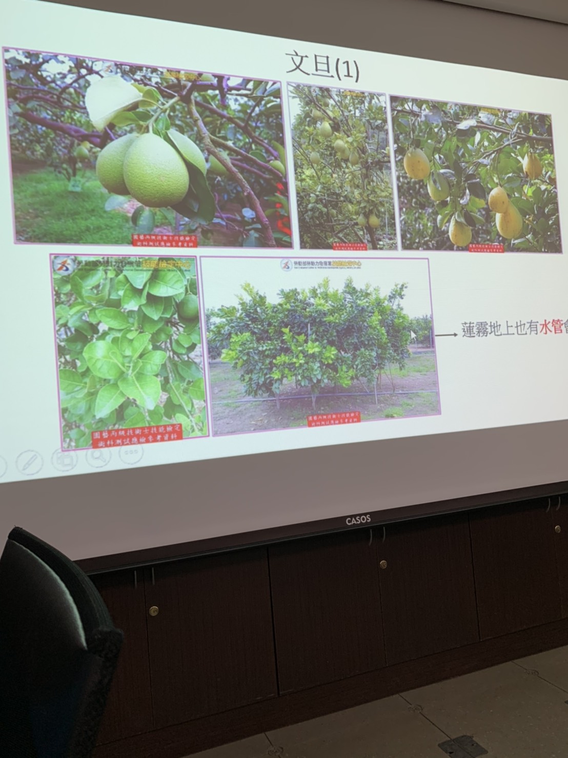 園藝技術果樹類術科資訊