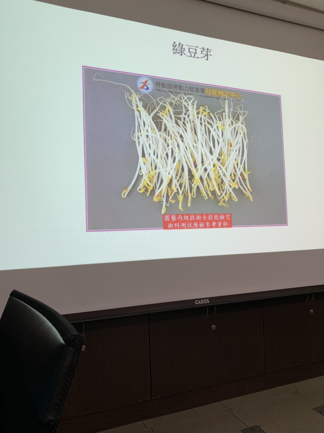 園藝技術果樹類術科資訊