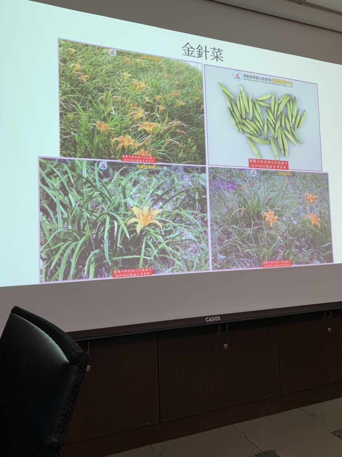 園藝技術果樹類術科資訊