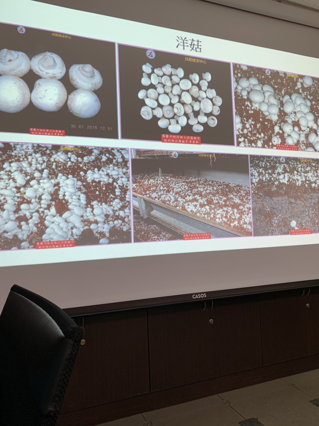 園藝技術果樹類術科資訊