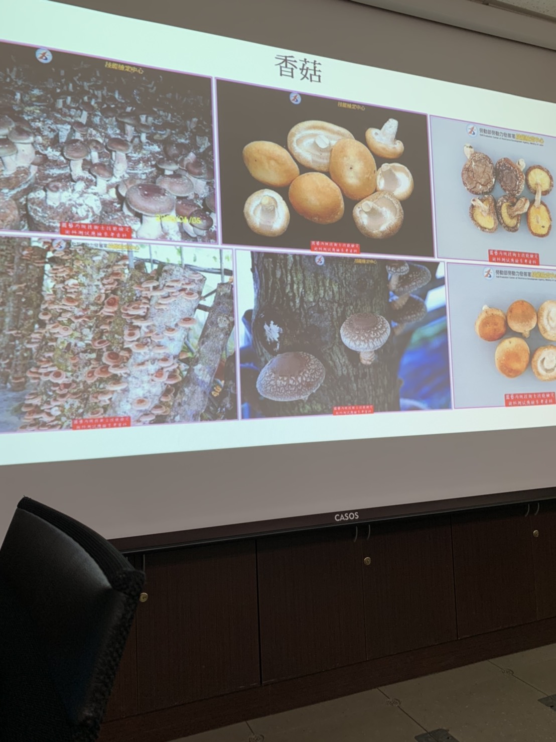 園藝技術果樹類術科資訊