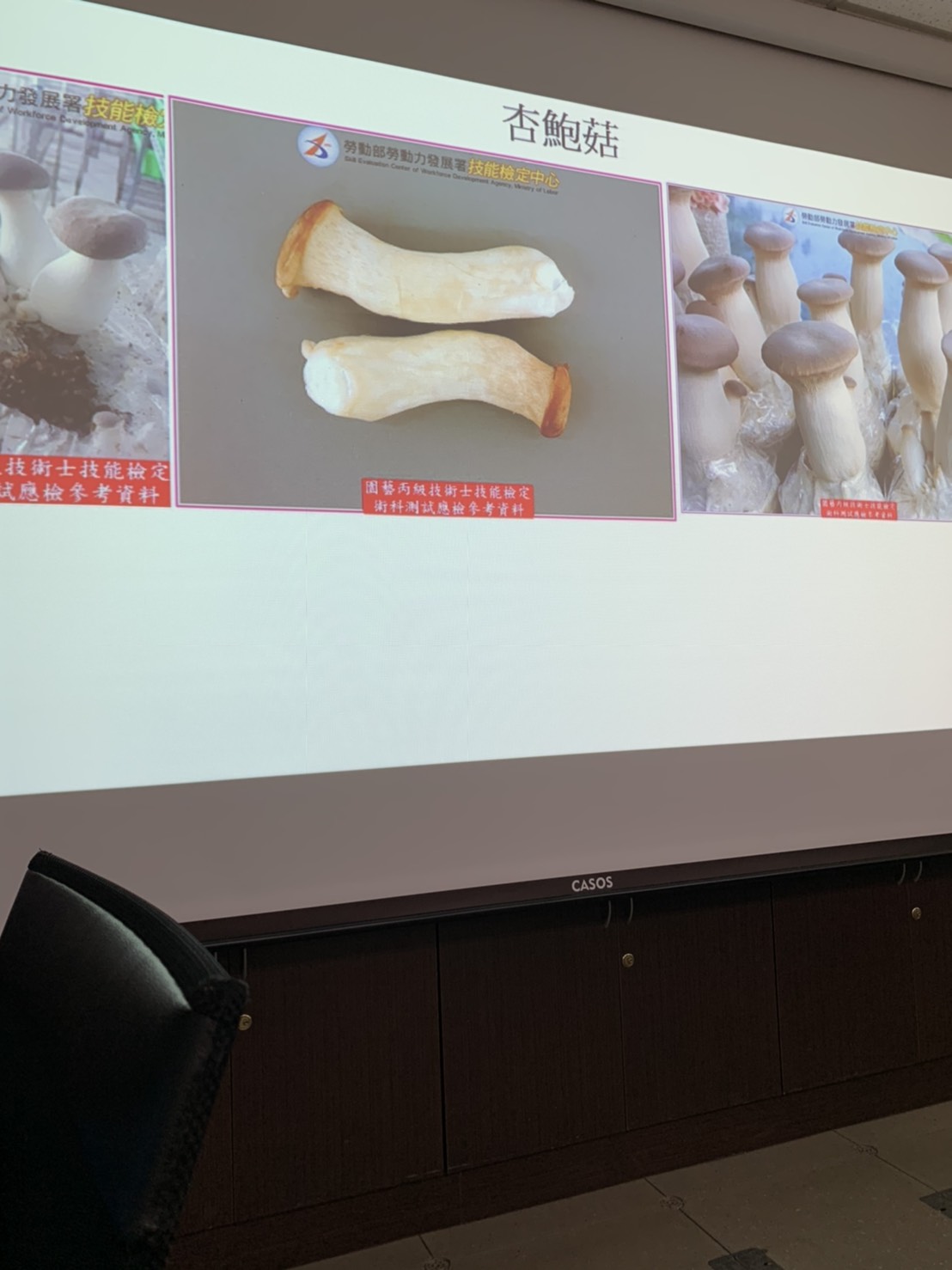 園藝技術果樹類術科資訊