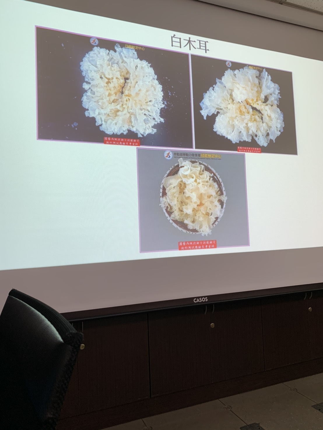 園藝技術果樹類術科資訊