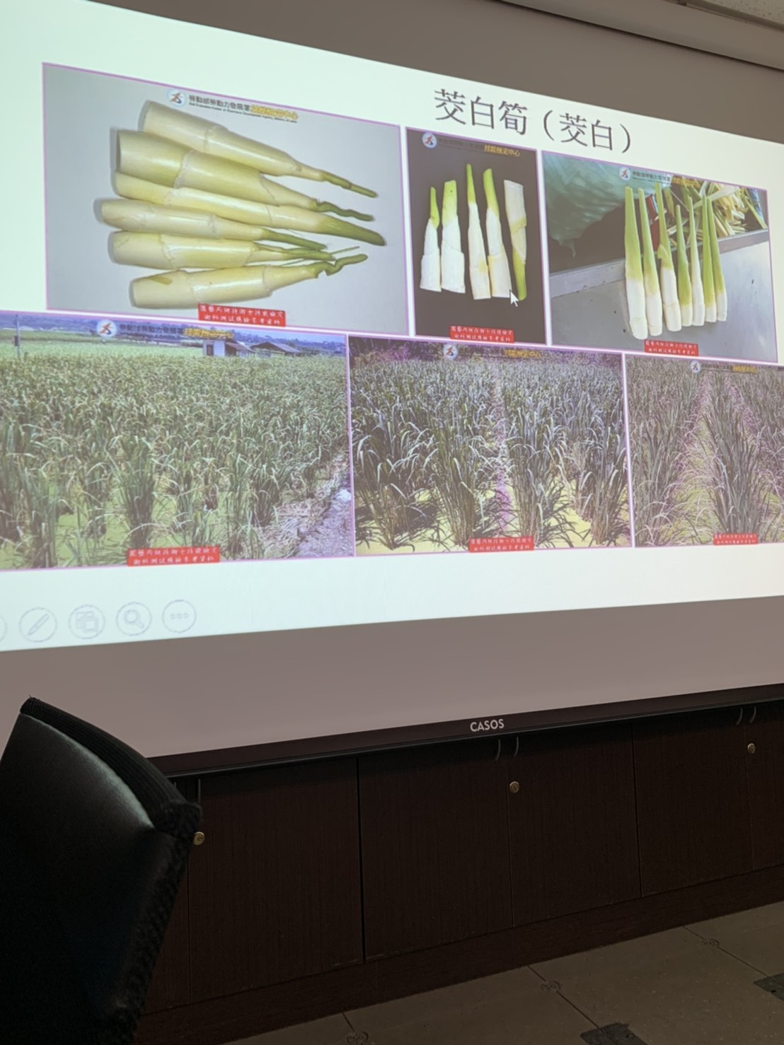 園藝技術果樹類術科資訊