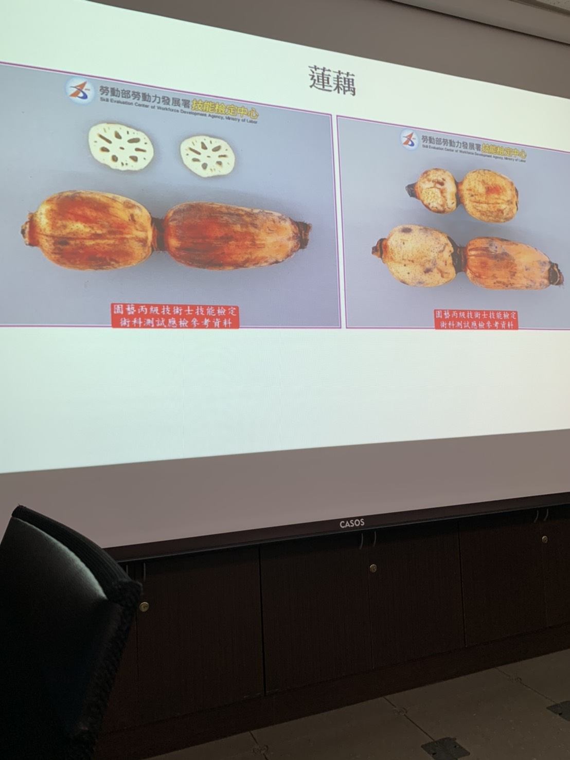 園藝技術果樹類術科資訊