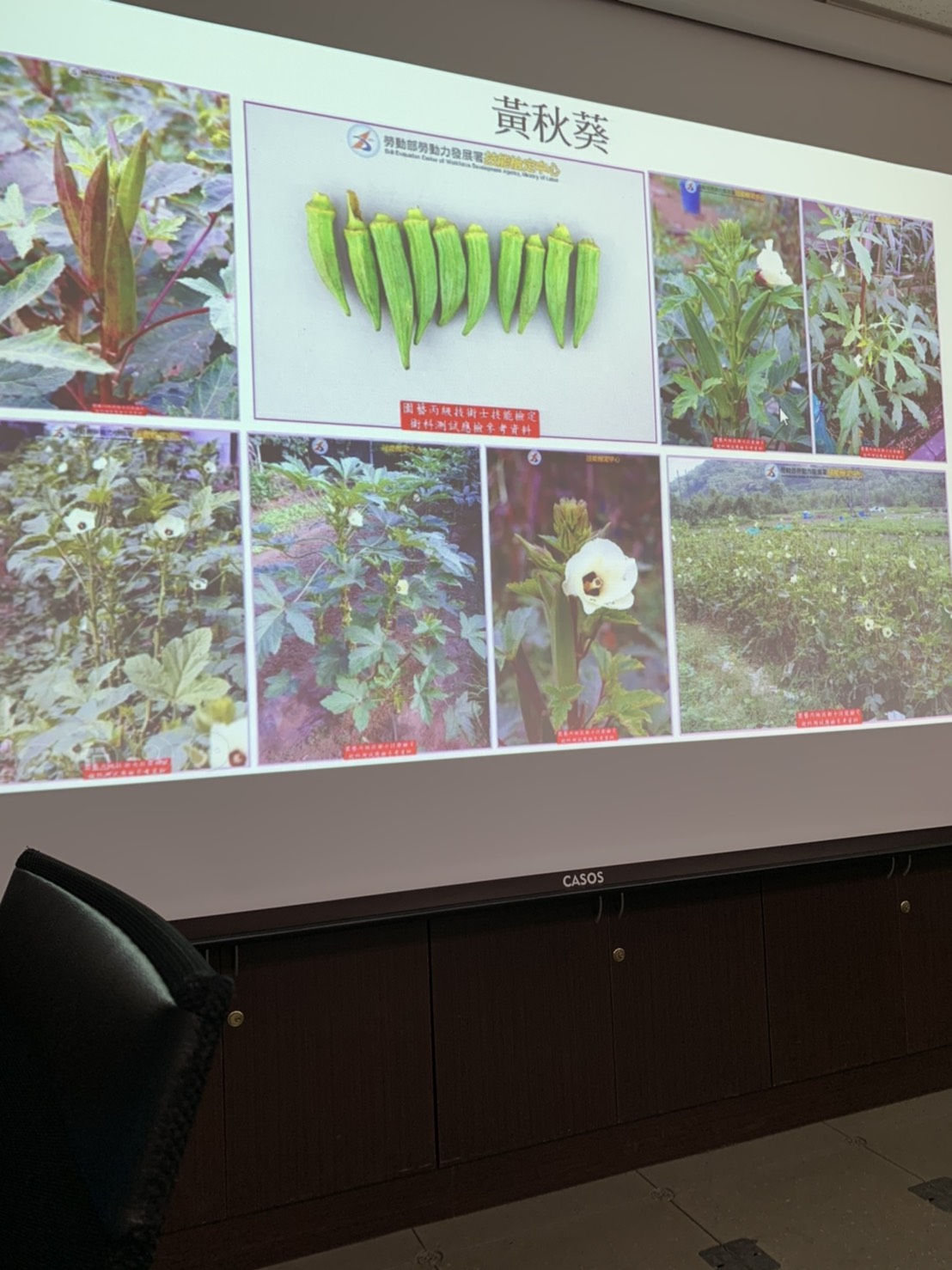 園藝技術果樹類術科資訊