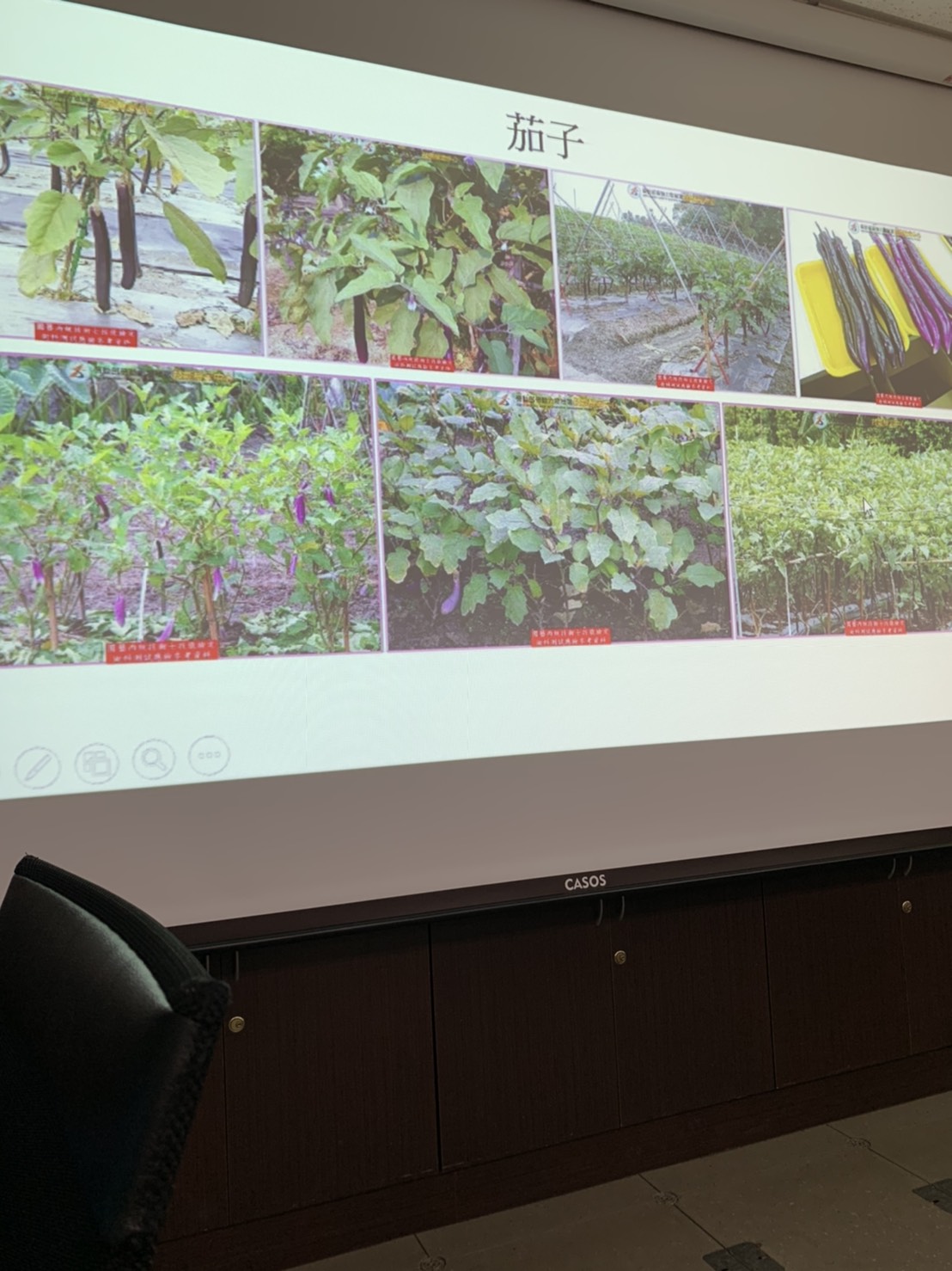 園藝技術果樹類術科資訊