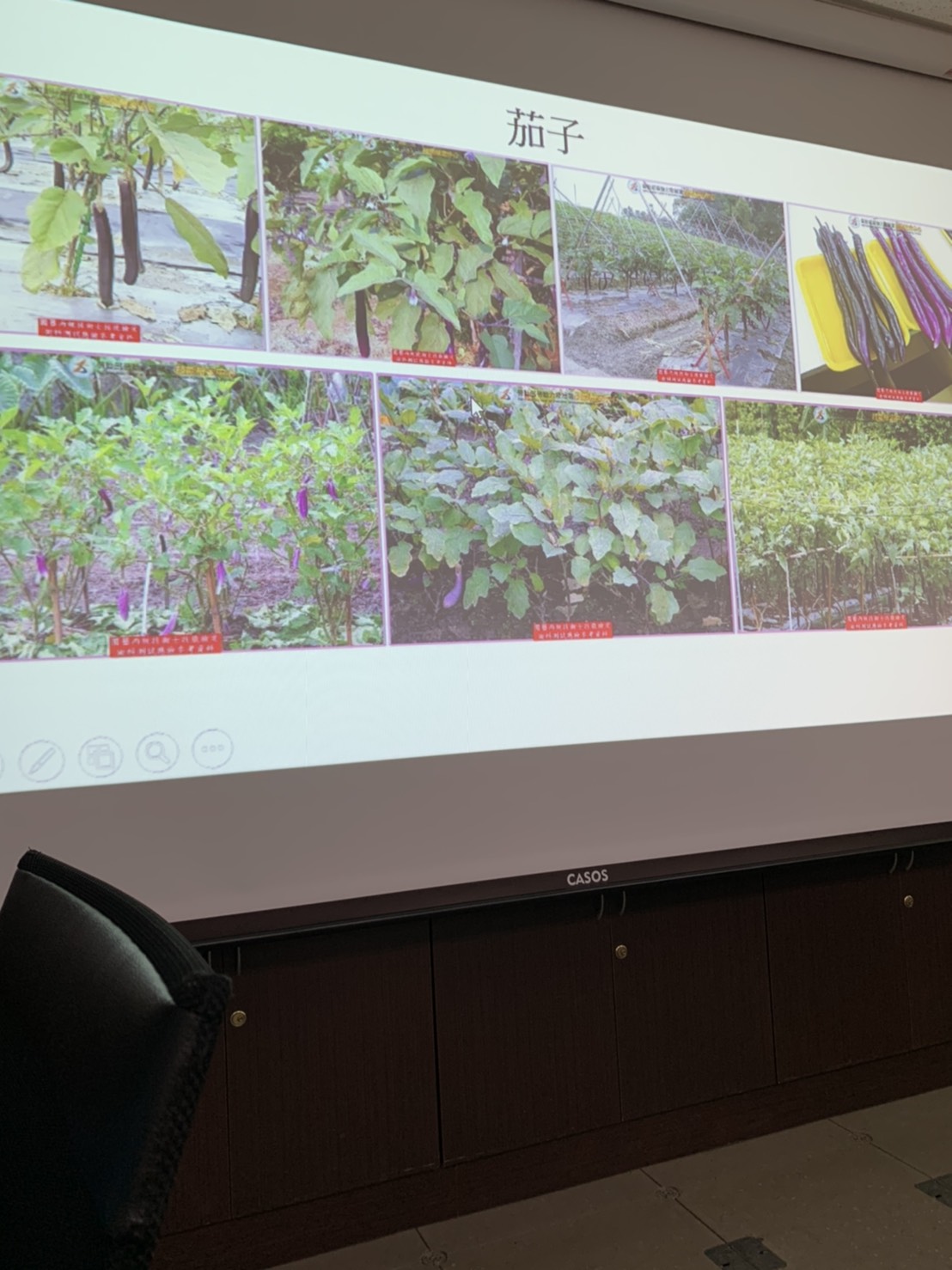 園藝技術果樹類術科資訊