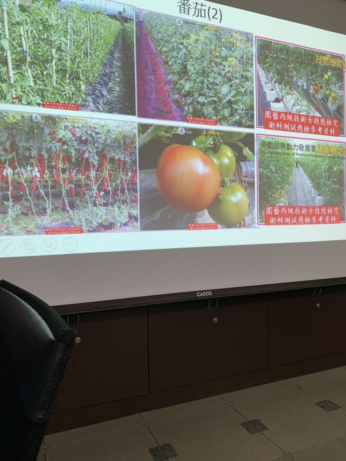 園藝技術果樹類術科資訊