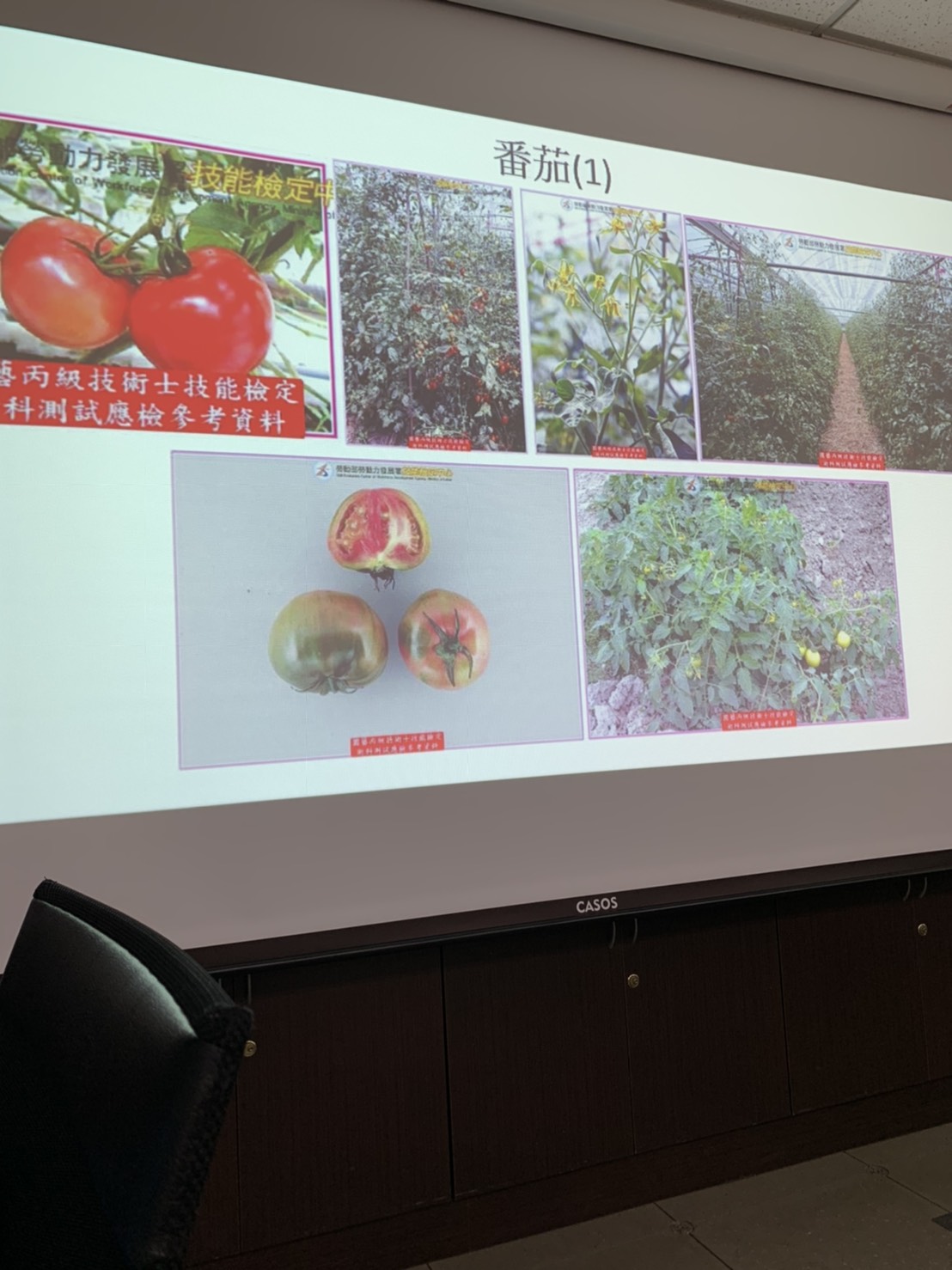 園藝技術果樹類術科資訊