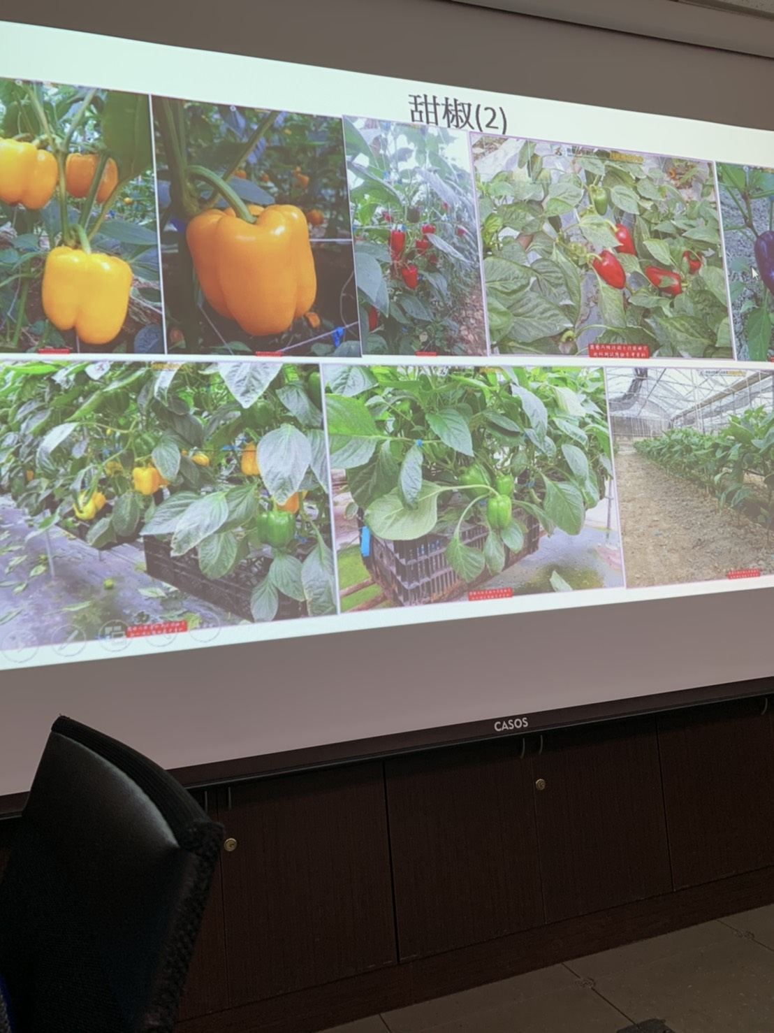 園藝技術果樹類術科資訊