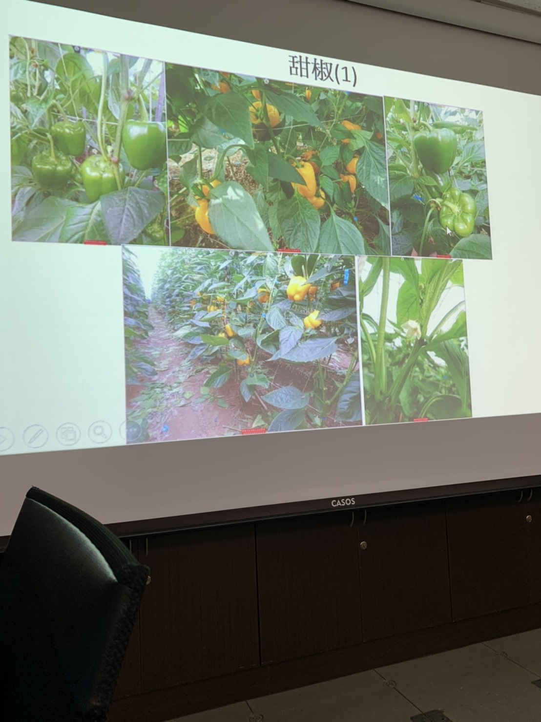 園藝技術果樹類術科資訊