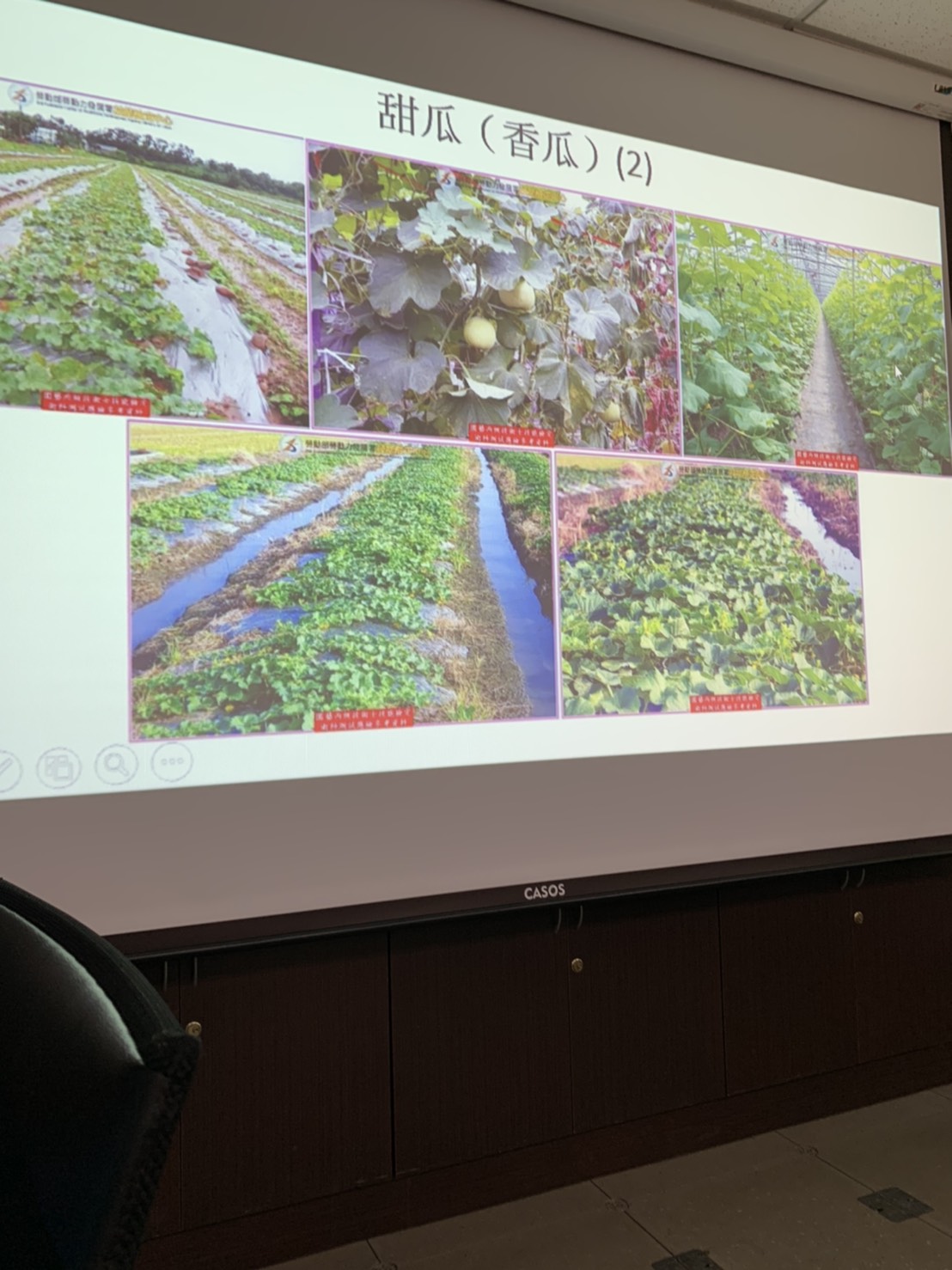 園藝技術果樹類術科資訊