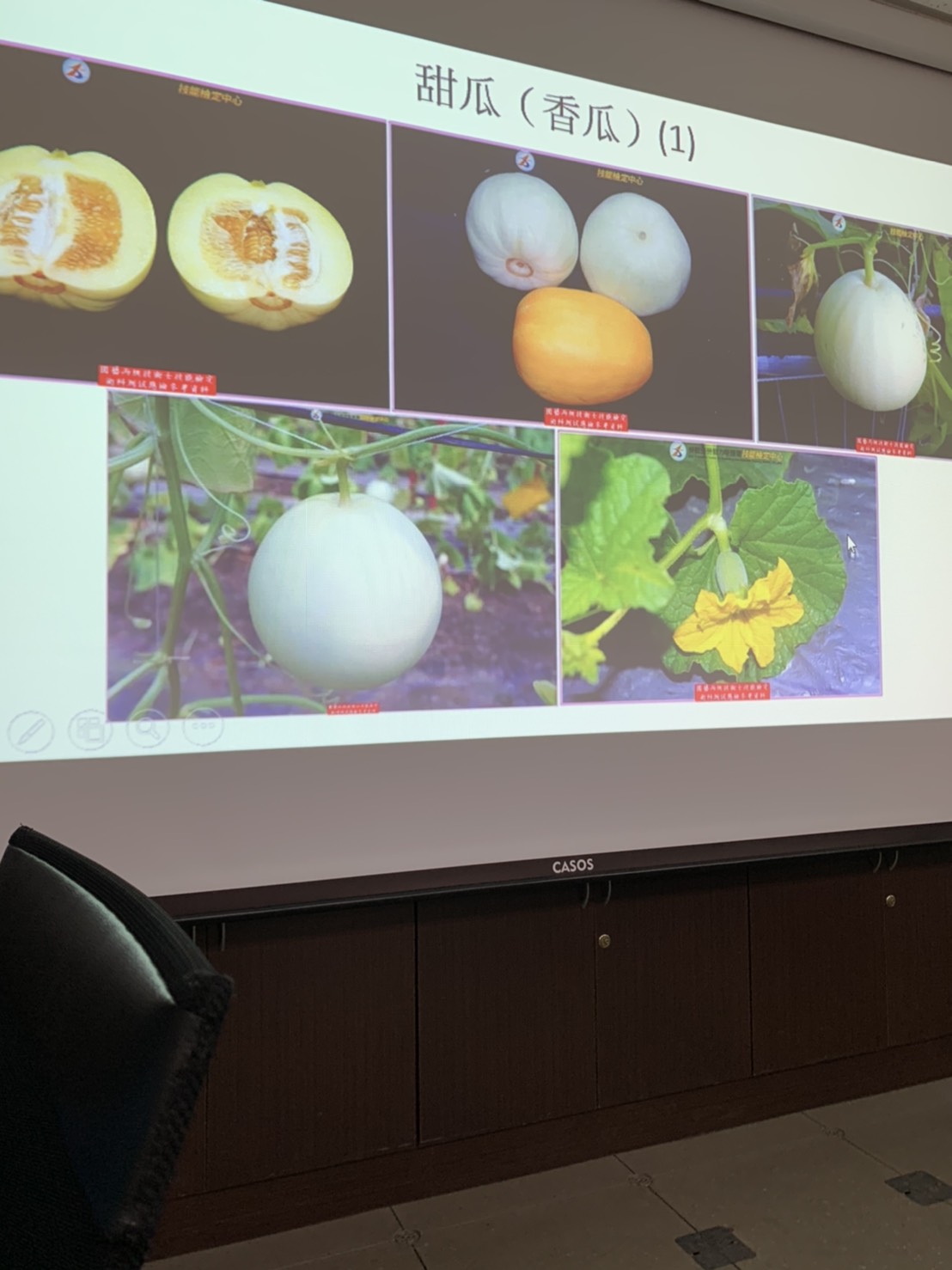 園藝技術果樹類術科資訊