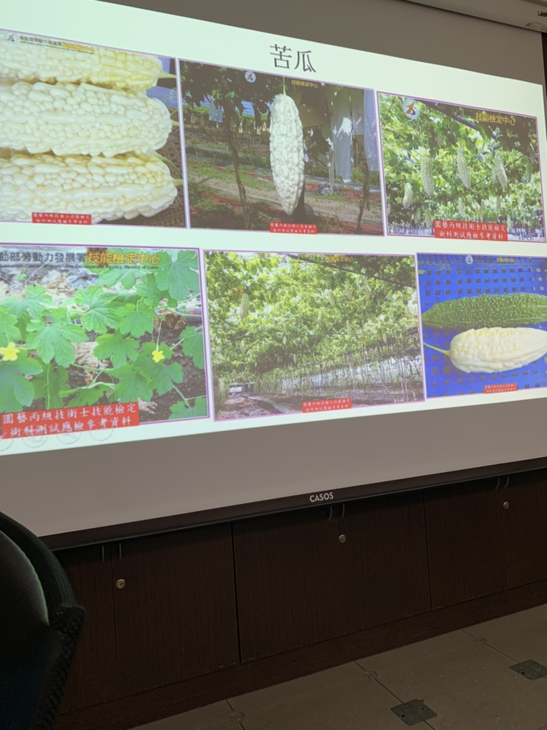 園藝技術果樹類術科資訊