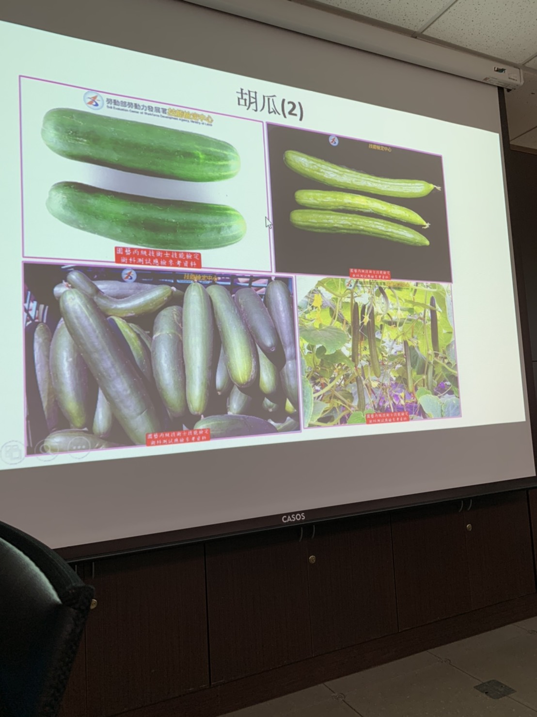 園藝技術果樹類術科資訊