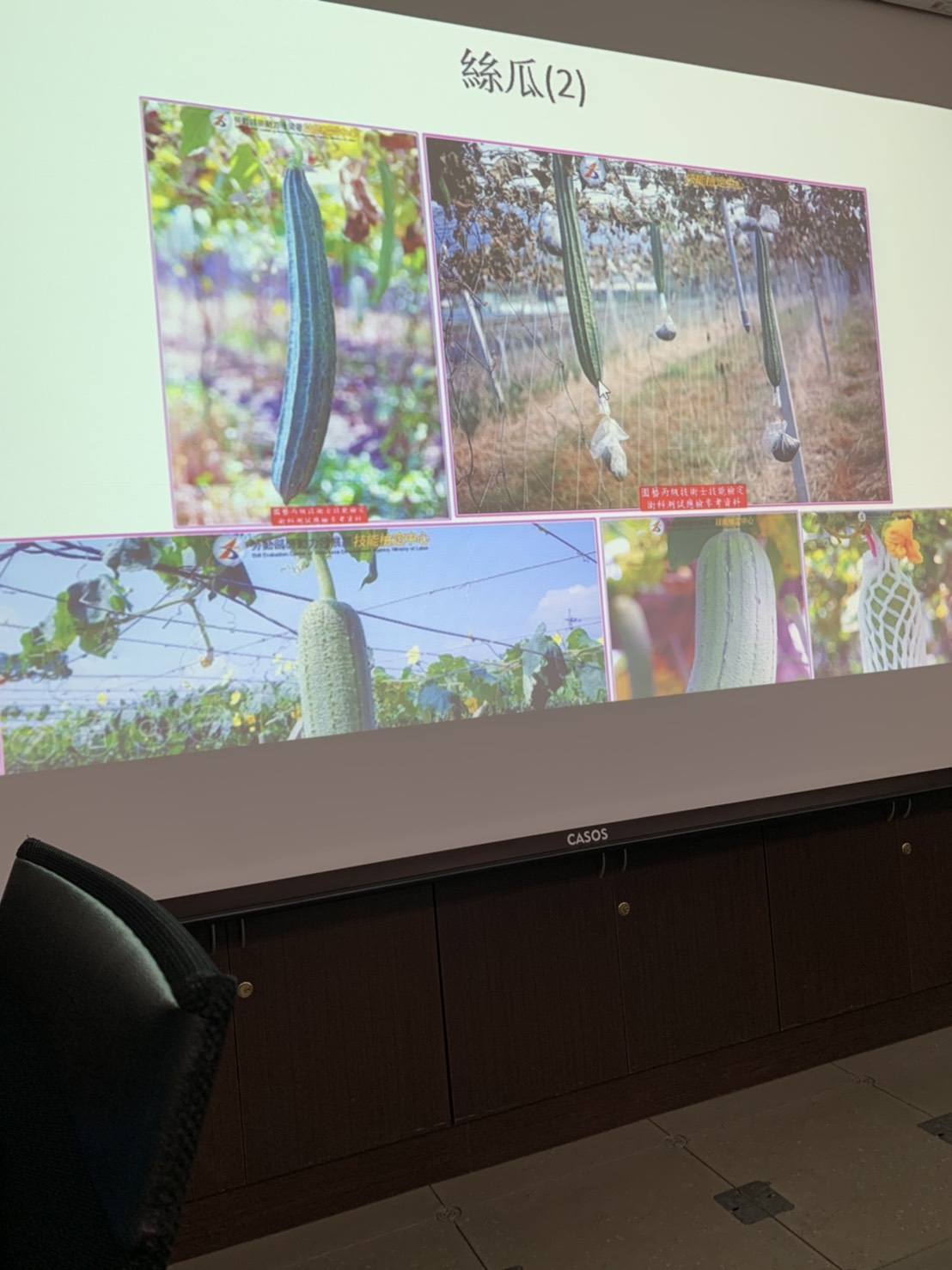 園藝技術果樹類術科資訊